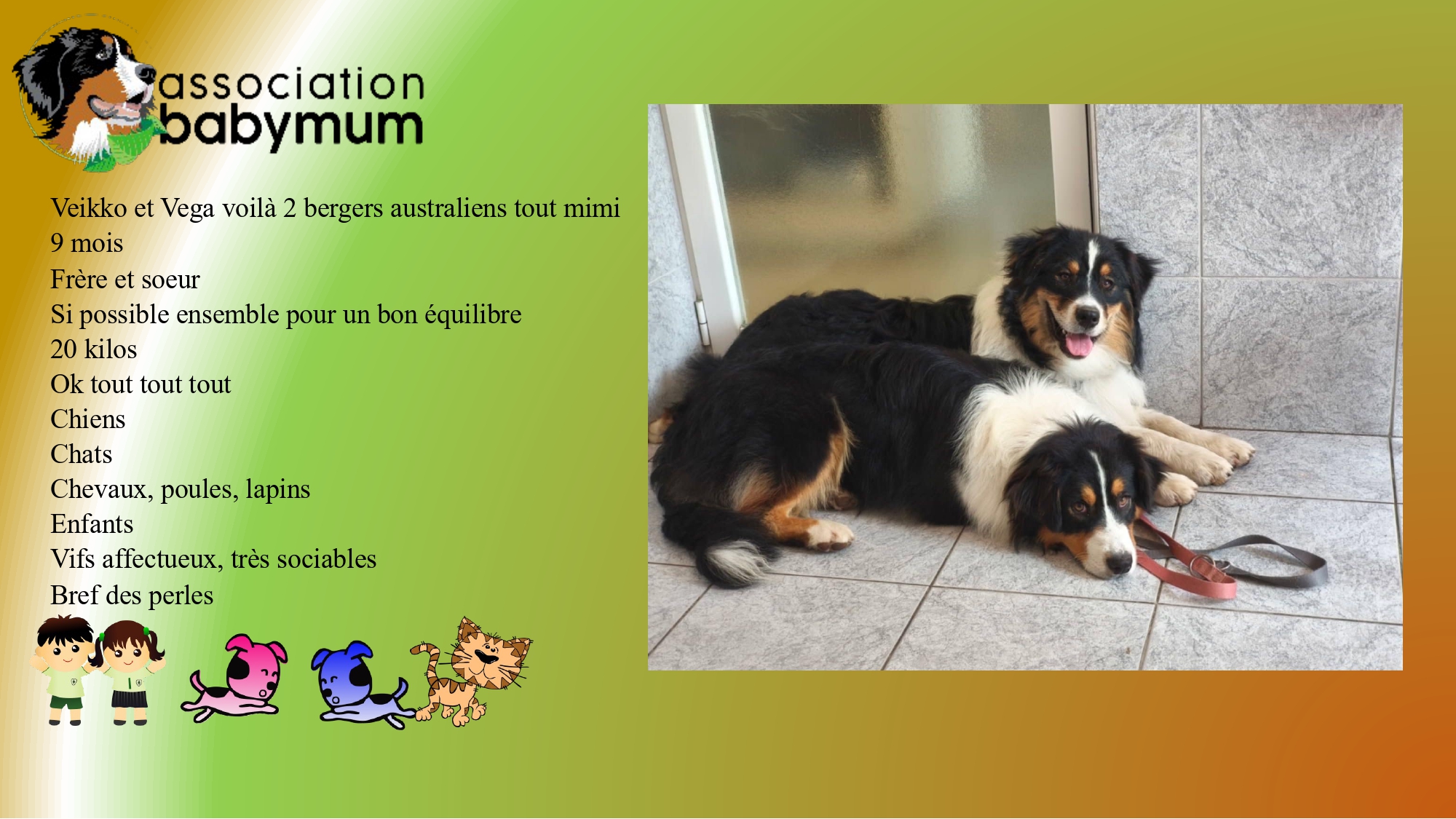 ADOPTES LE 17/07/2025