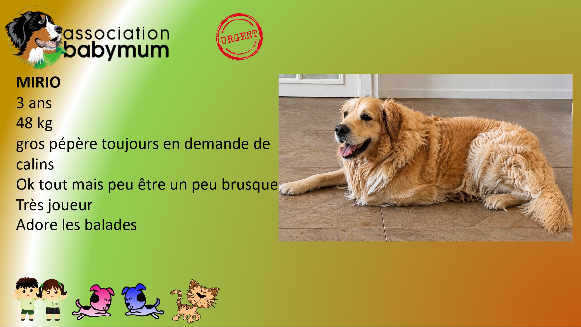 A L'ADOPTION