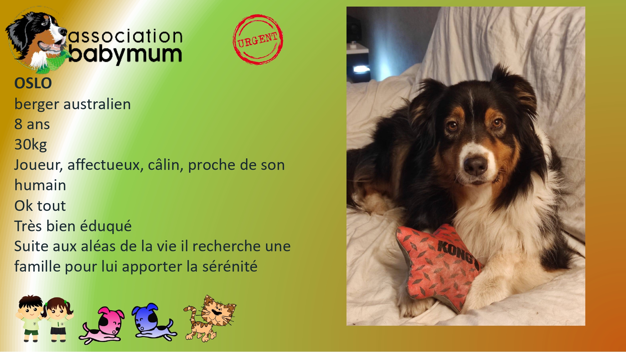 A L'ADOPTION