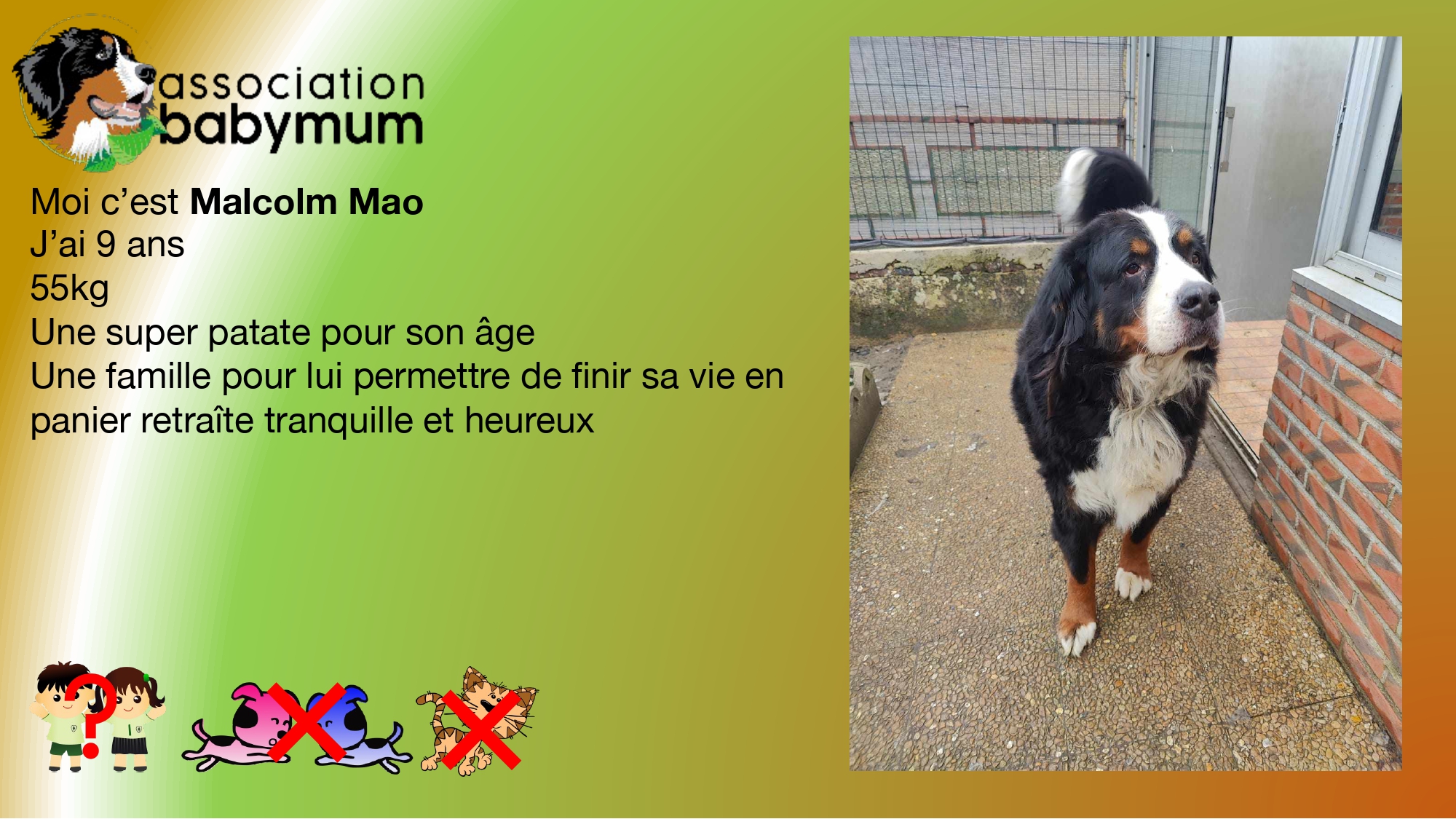 EN FAMILLE D'ACCUEIL LE 14/02/2025