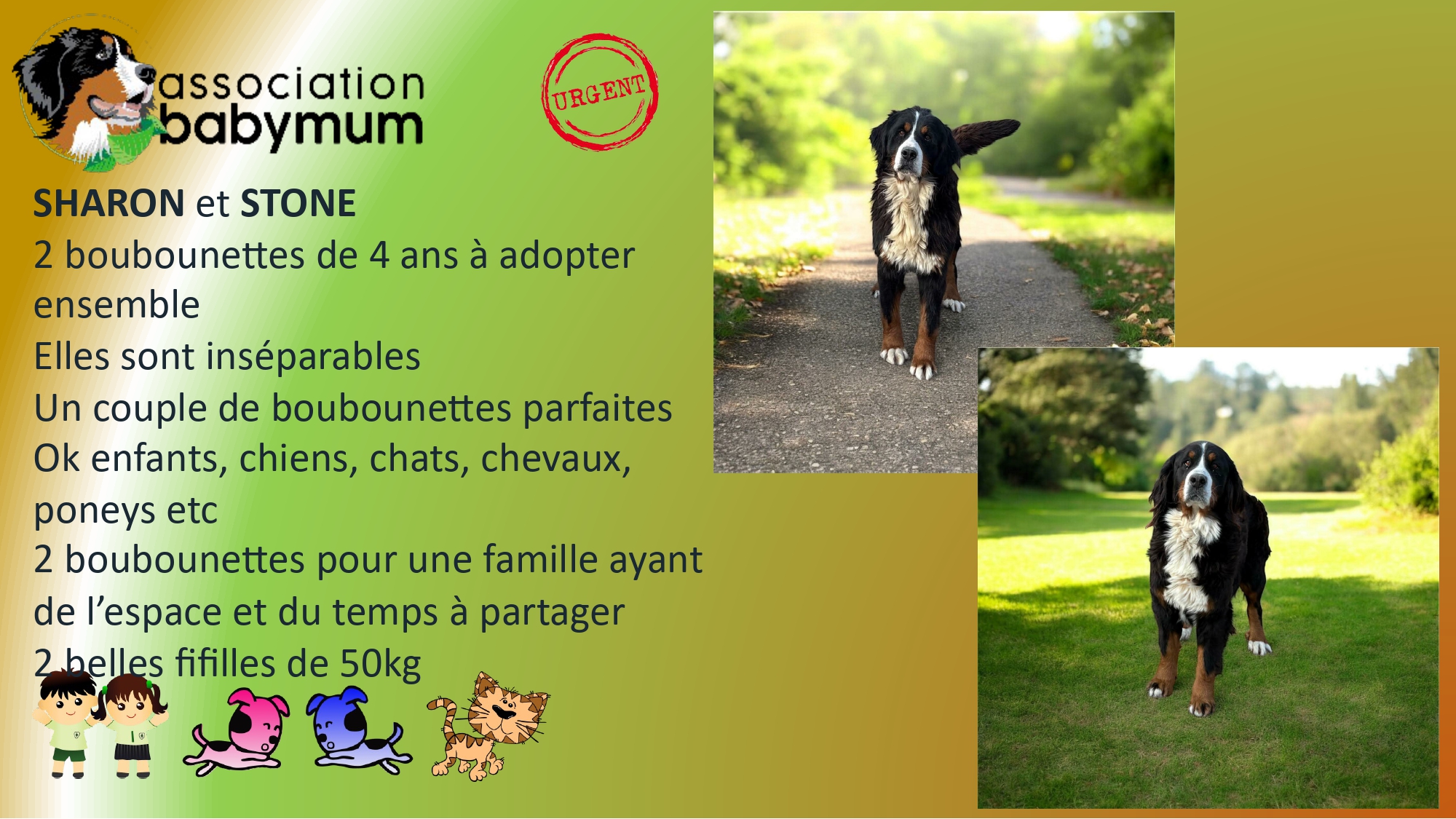 ADOPTEES LE 14/03/2026