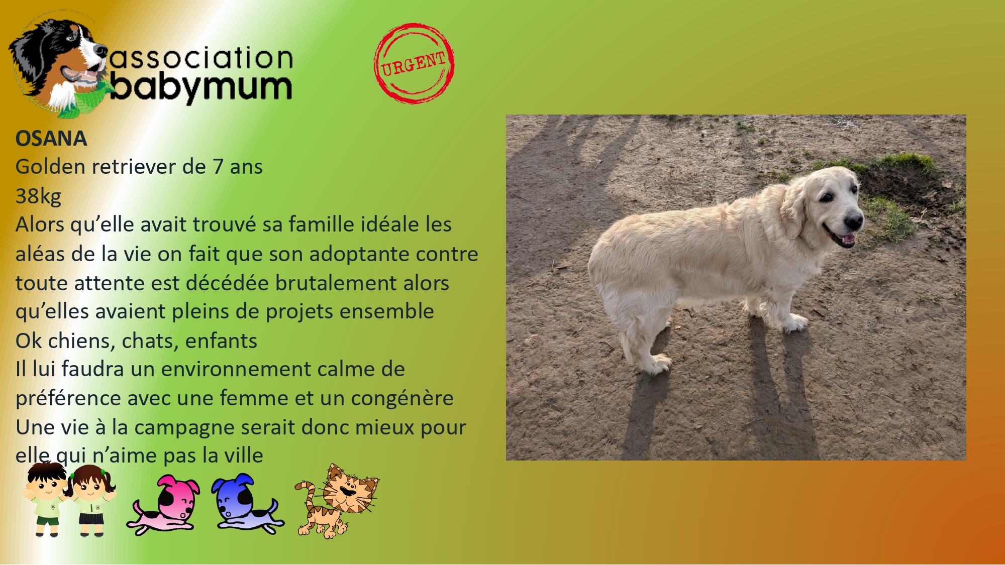 ADOPTEE LE 24/02/2026