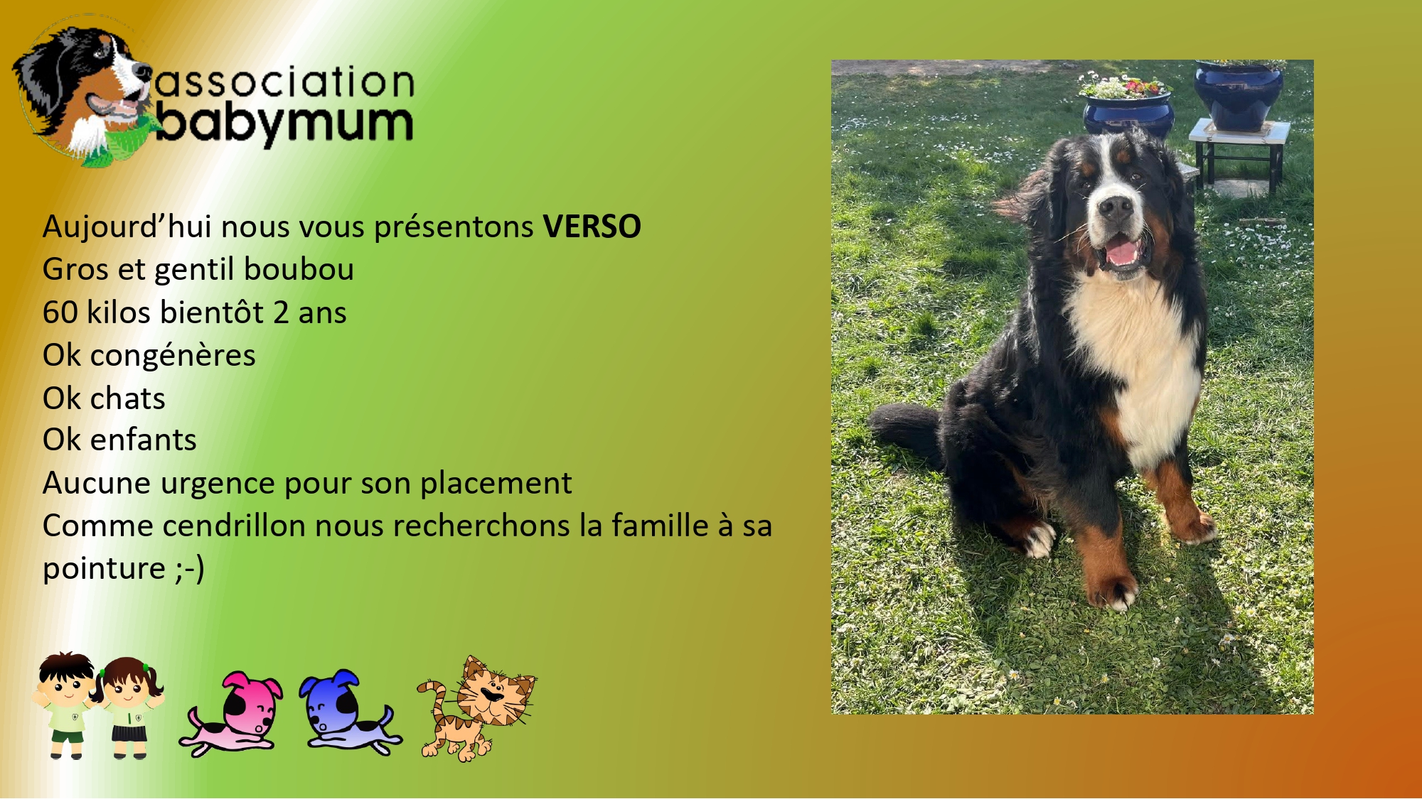 ADOPTE LE 15/02/2026
