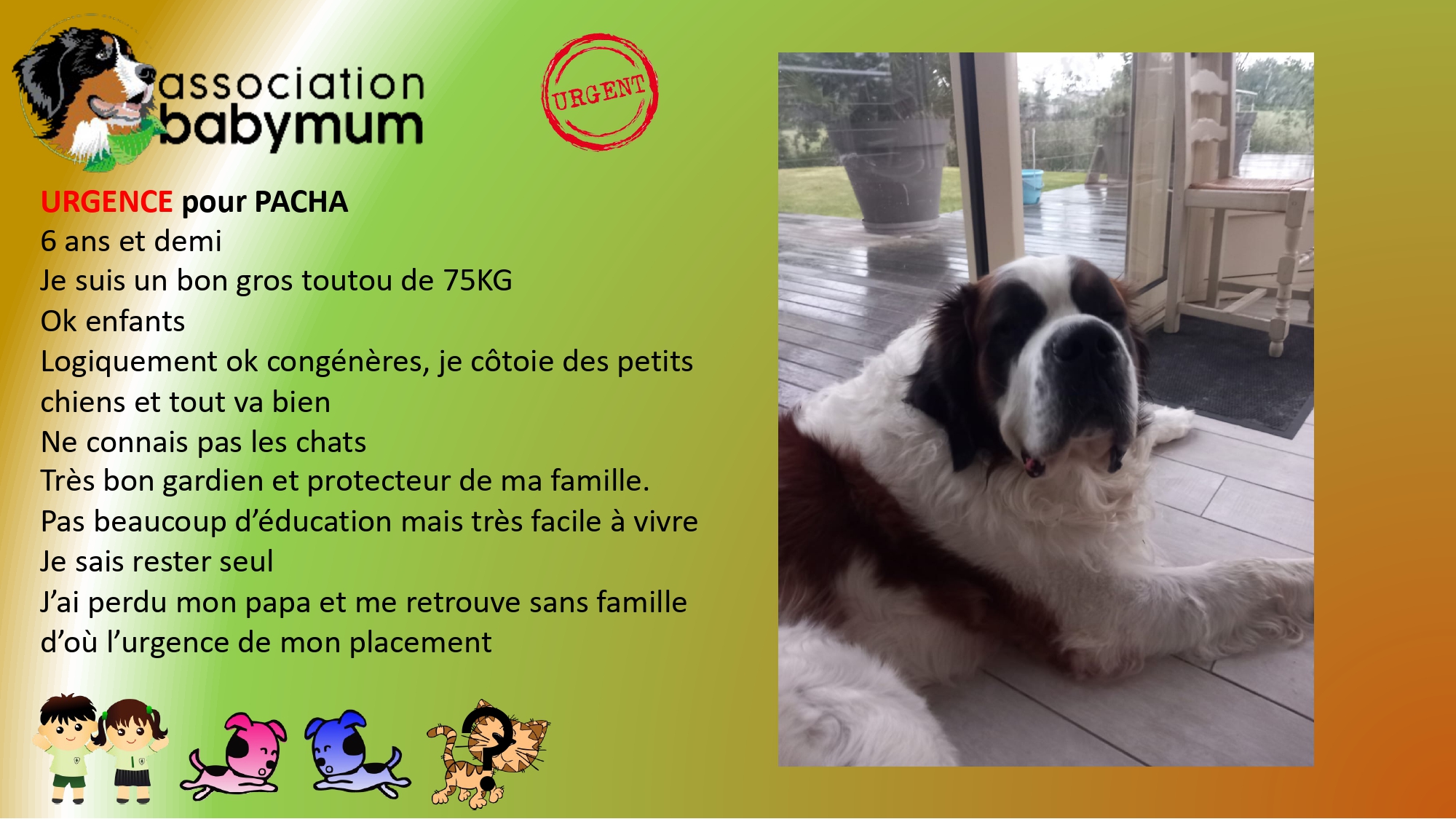A L'ADOPTION