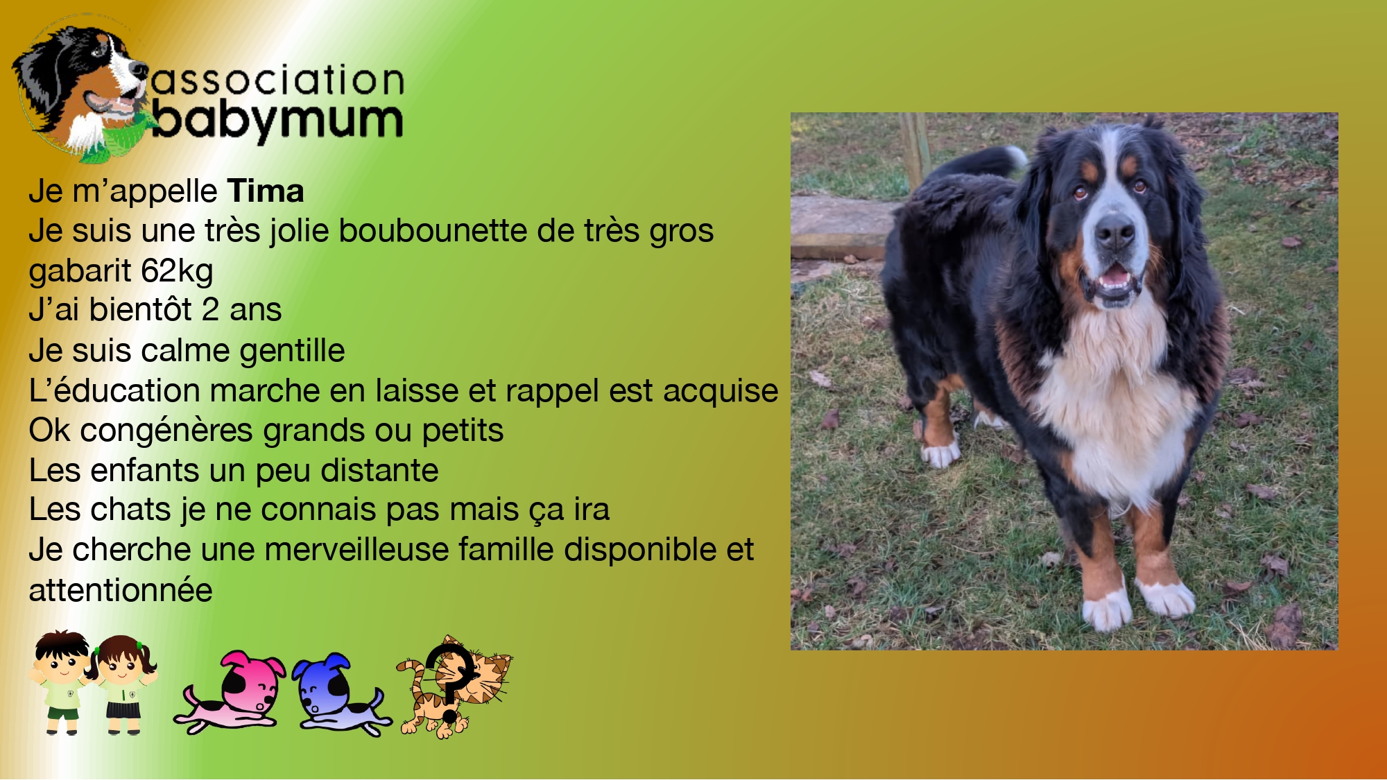ADOPTEE LE 11/03/2025