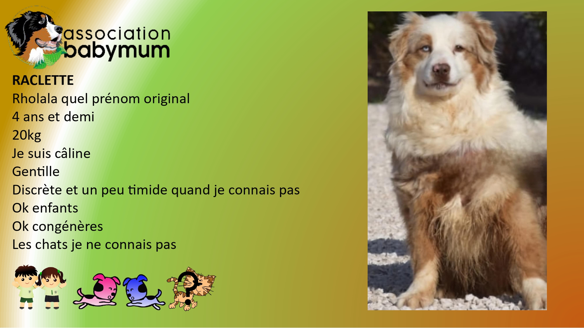 A L'ADOPTION