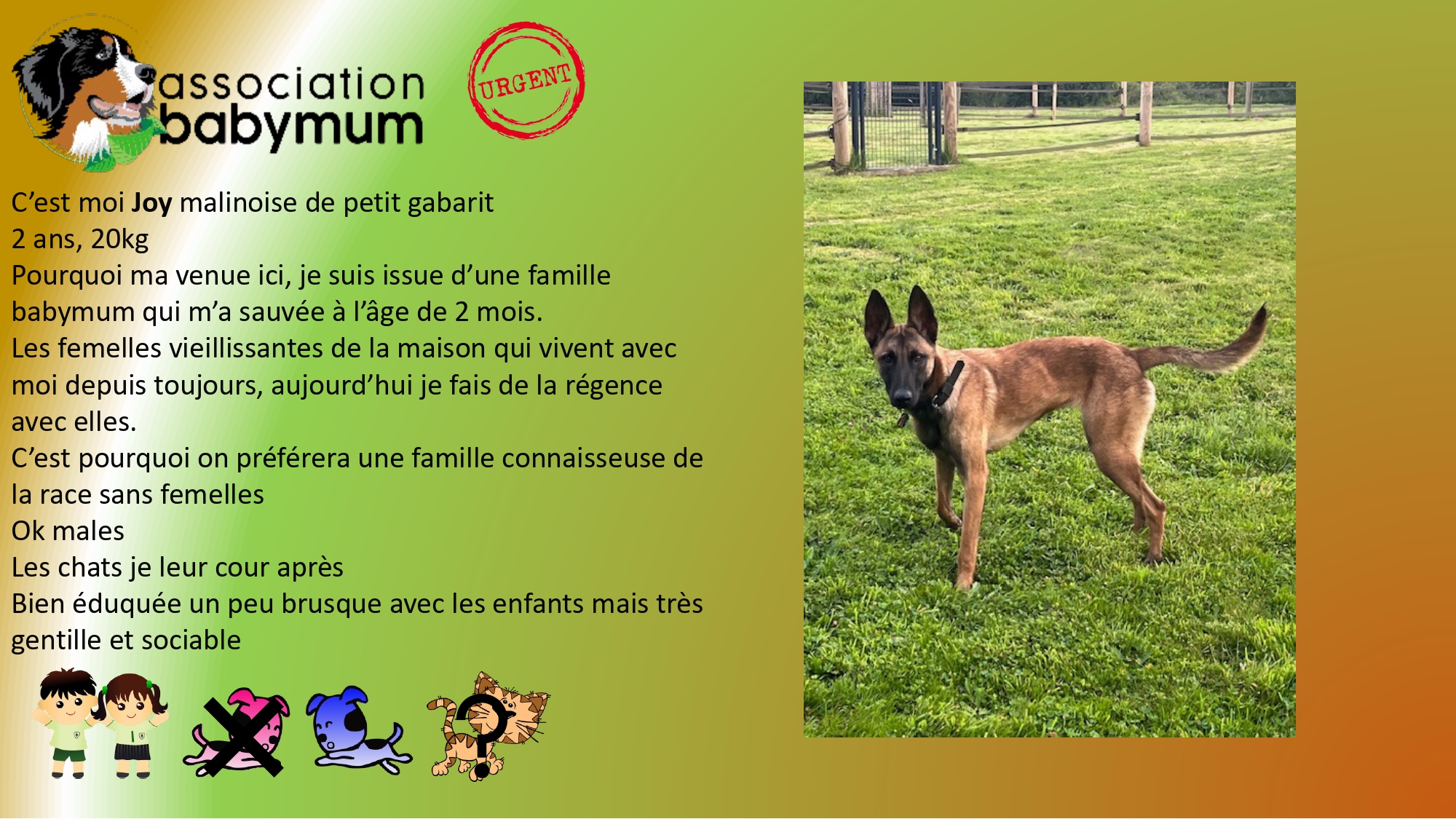 A L'ADOPTION