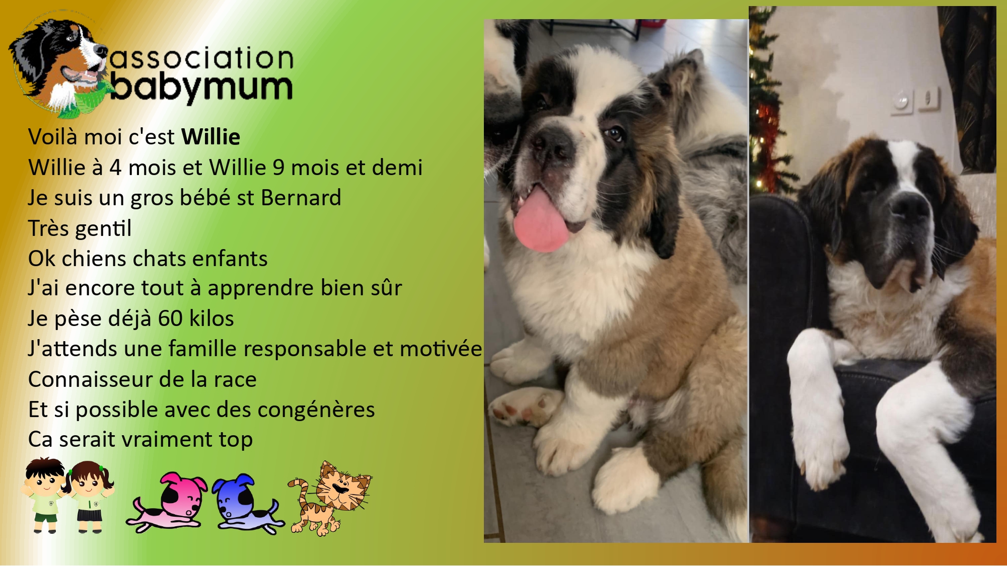 ADOPTE LE 04/04/2025