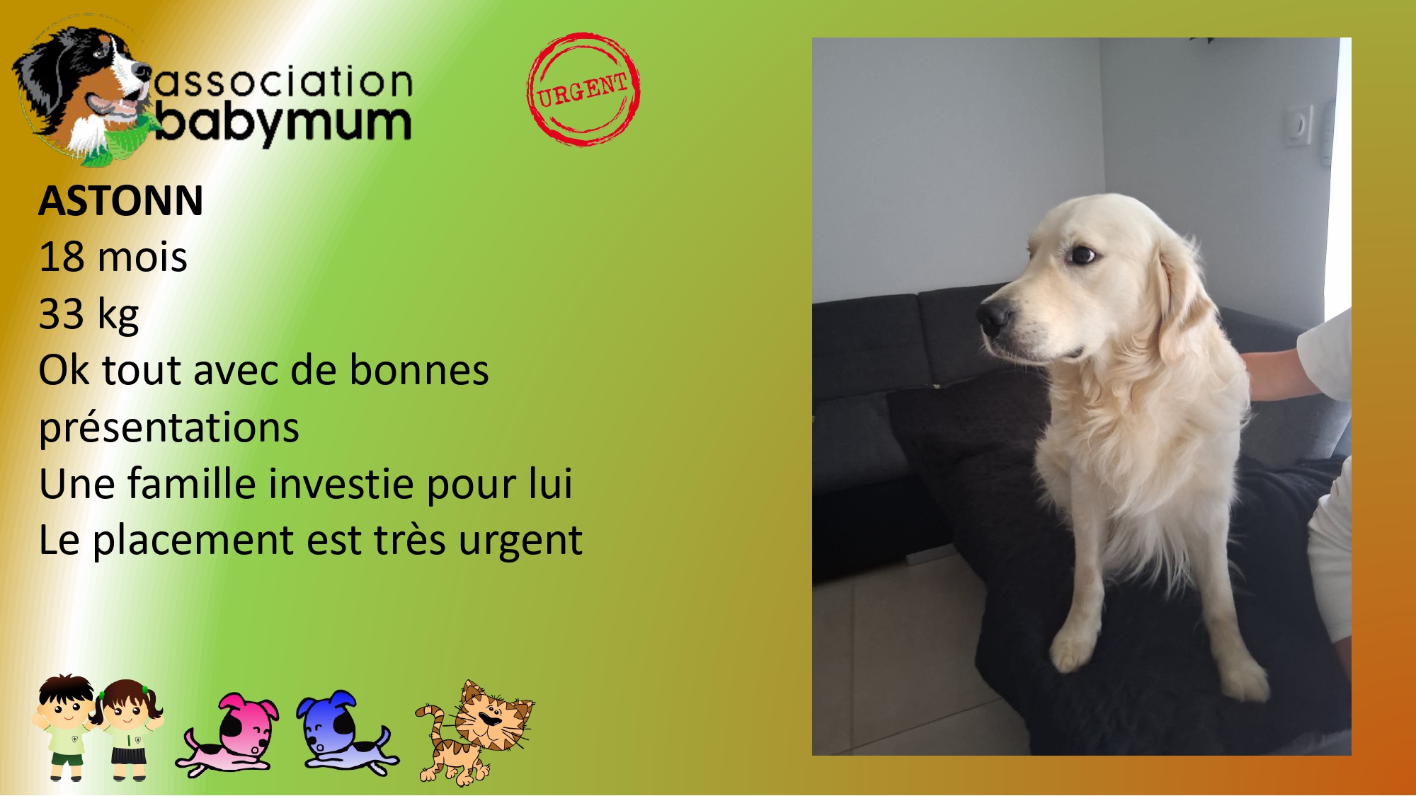 A L'ADOPTION