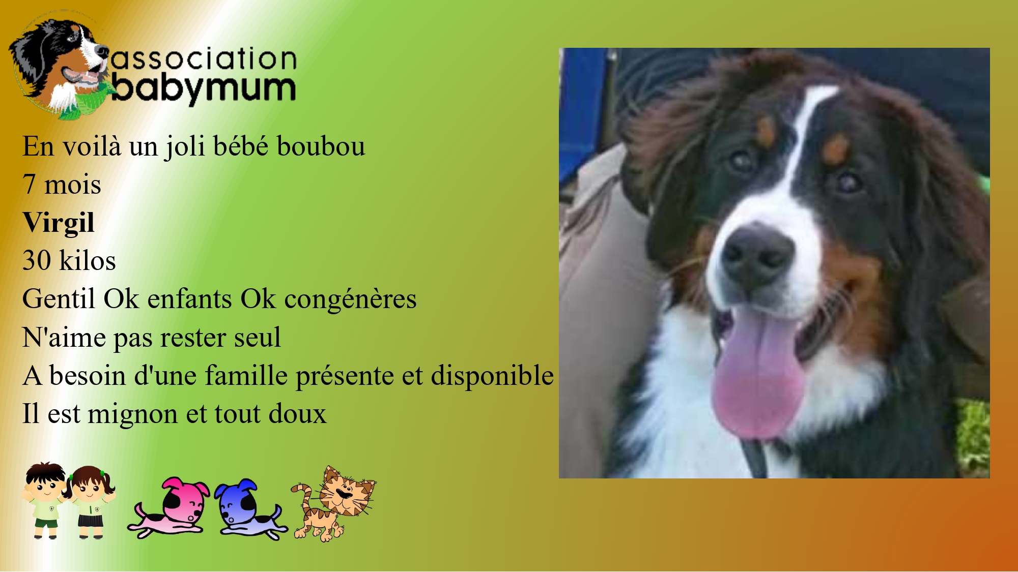 ADOPTE LE 27/02/2025