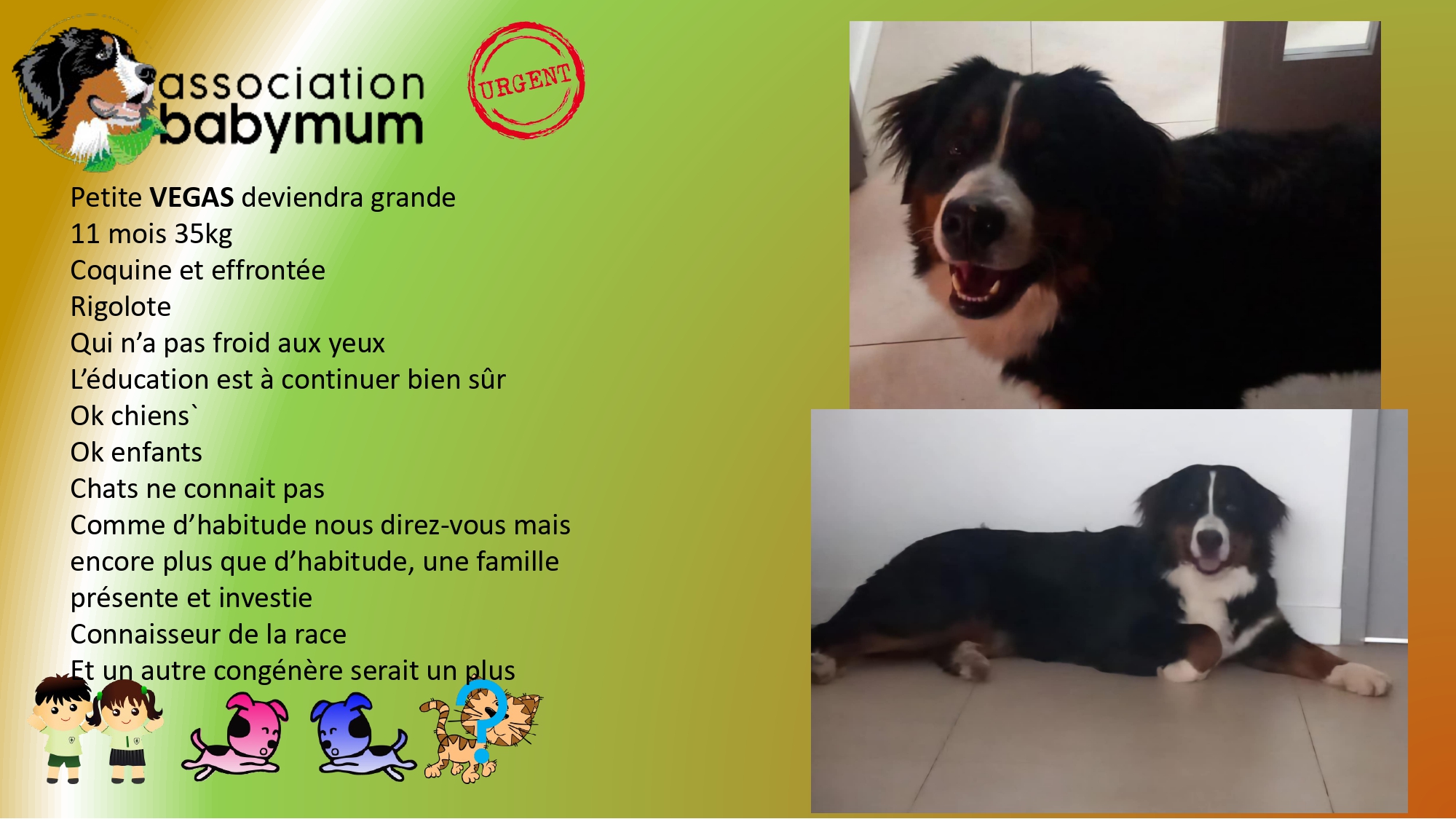ADOPTEE LE 22/02/2025
