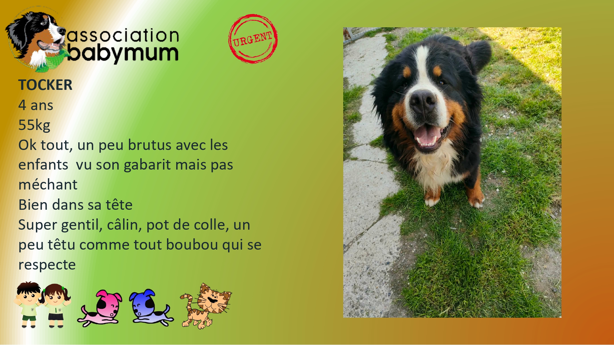 A L'ADOPTION