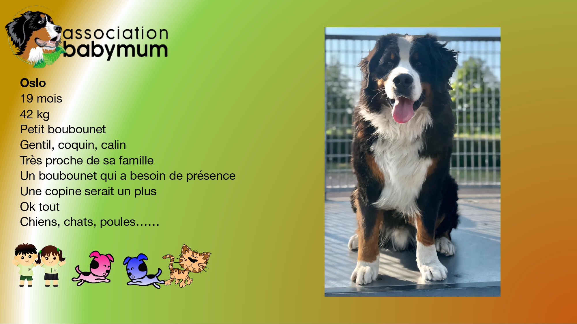 A L'ADOPTION