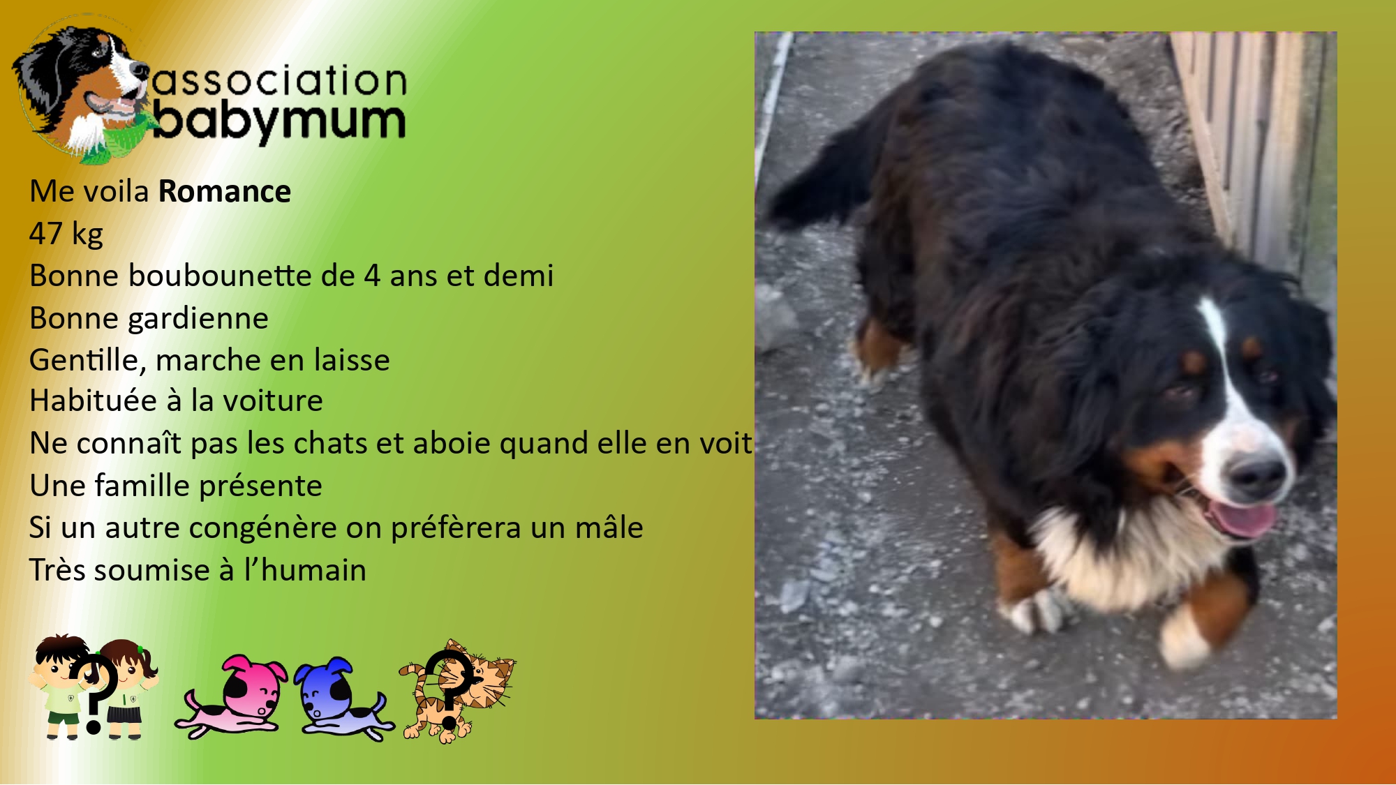 A L'ADOPTION
