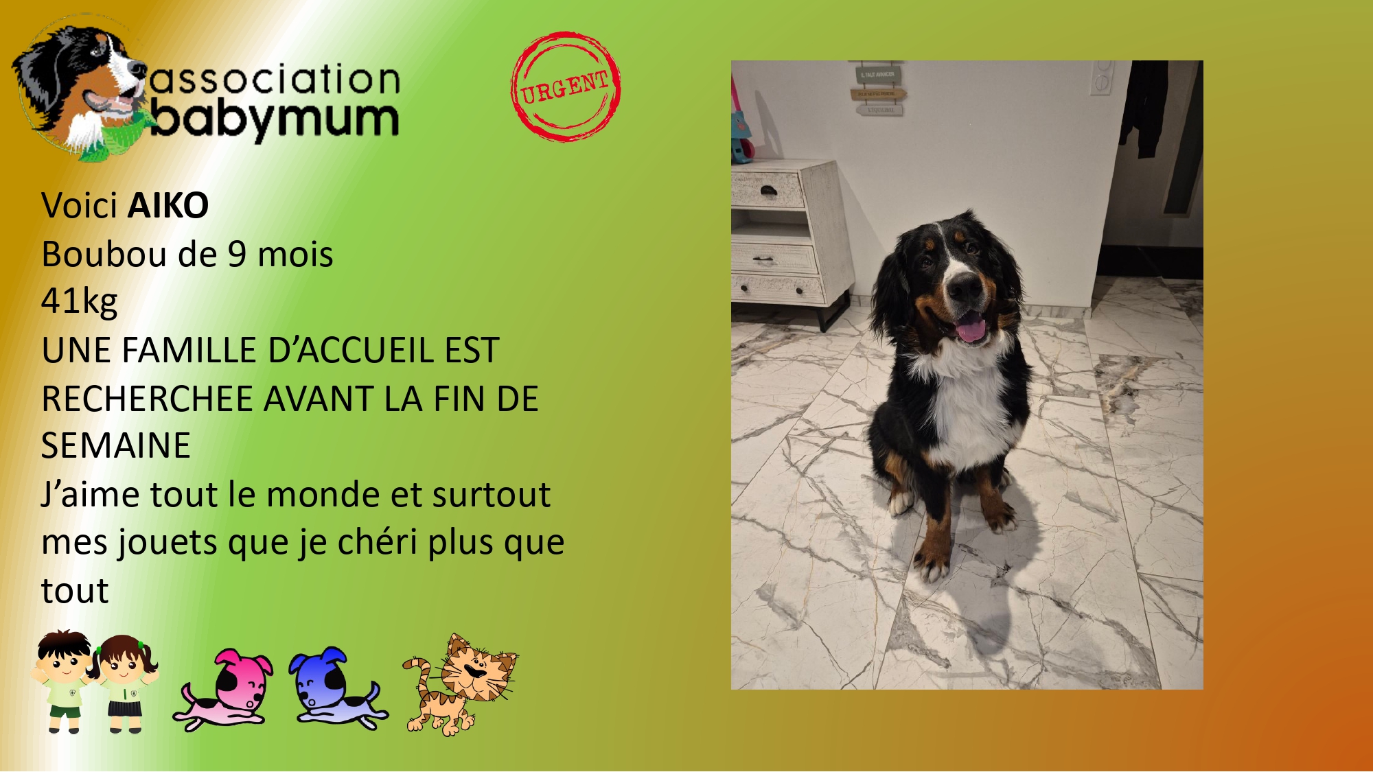ADOPTE LE 04/04/2026