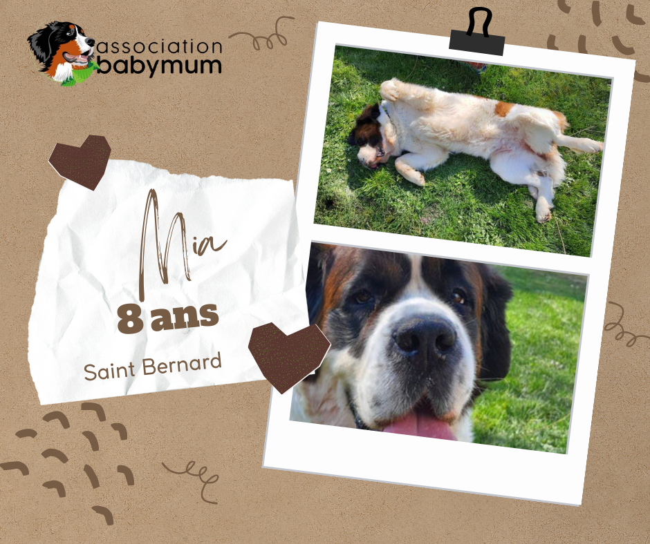 ADOPTEE EN PANIER RETRAITE LE 17/09/2025