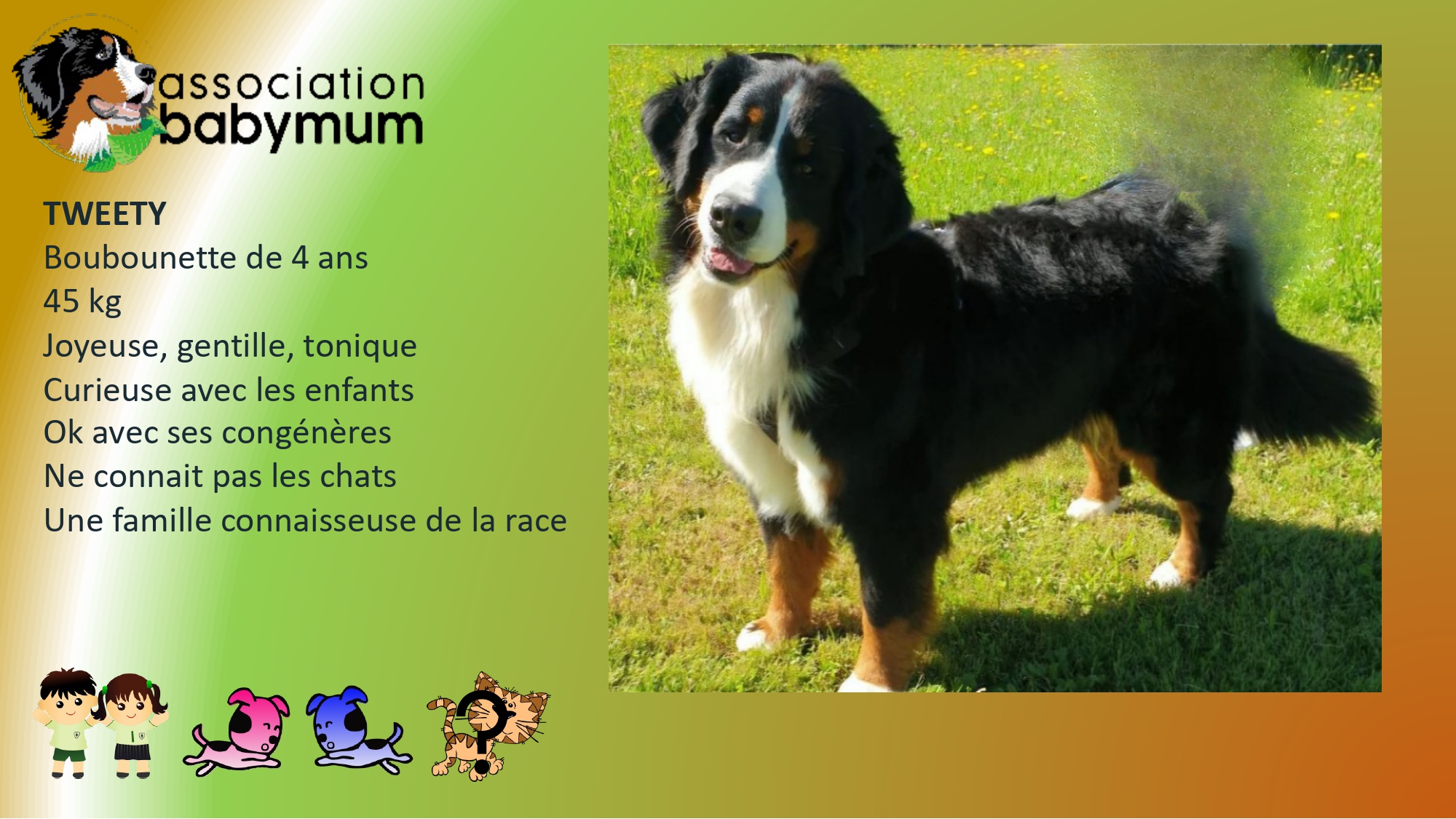 ADOPTEE LE 01/07/2026