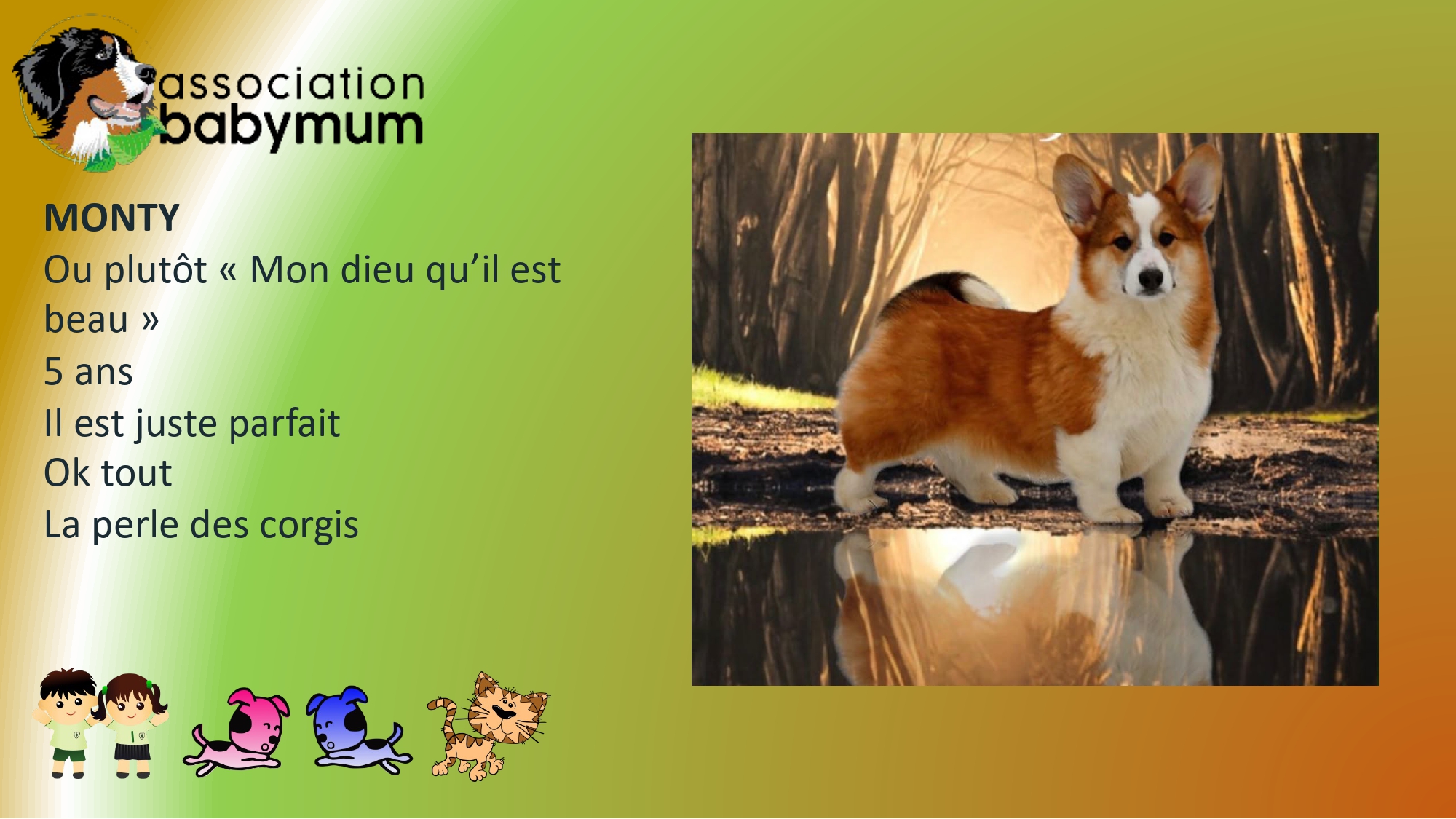 ADOPTE LE 08/04/2026