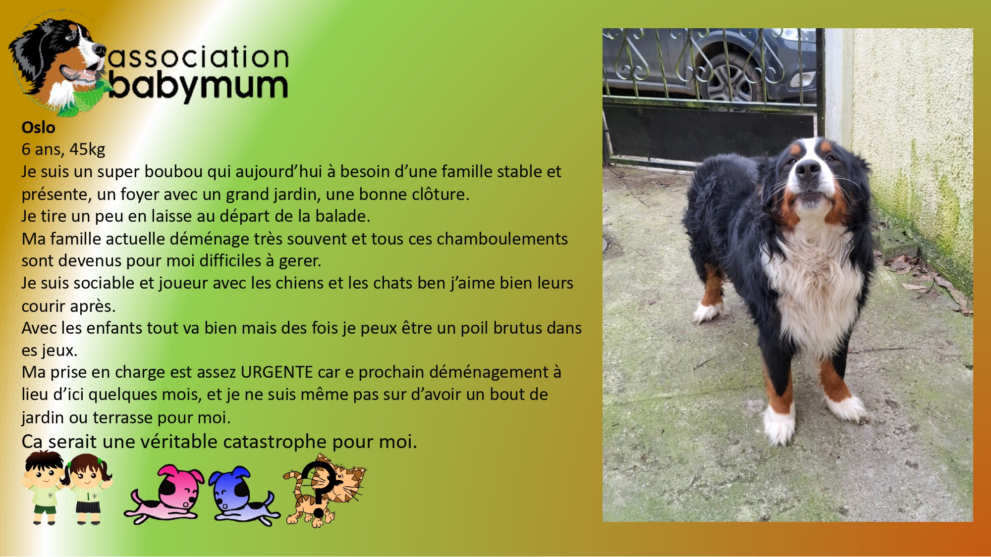 ADOPTE LE 04/05/2025