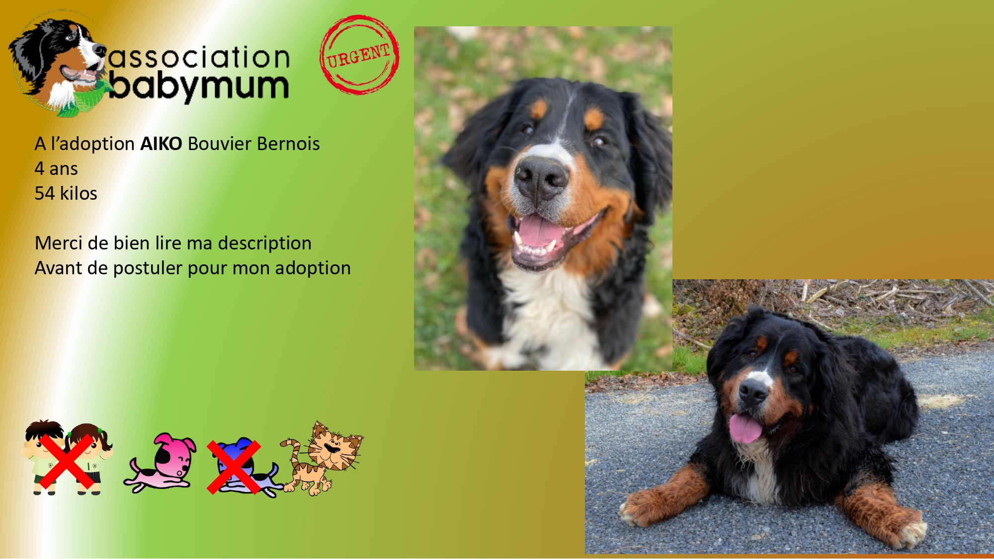 A L'ADOPTION