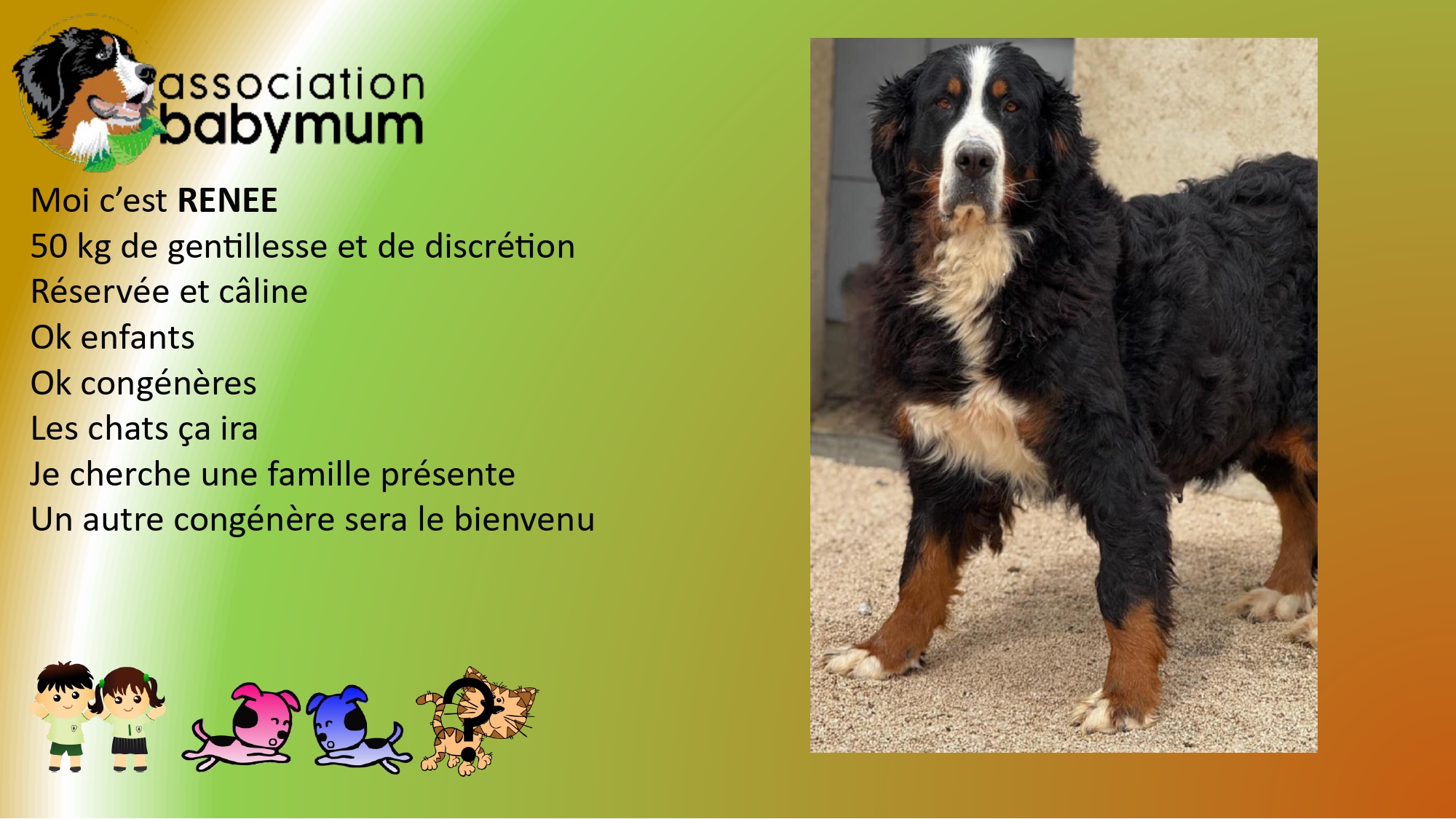 ADOPTEE LE 02/05/2025