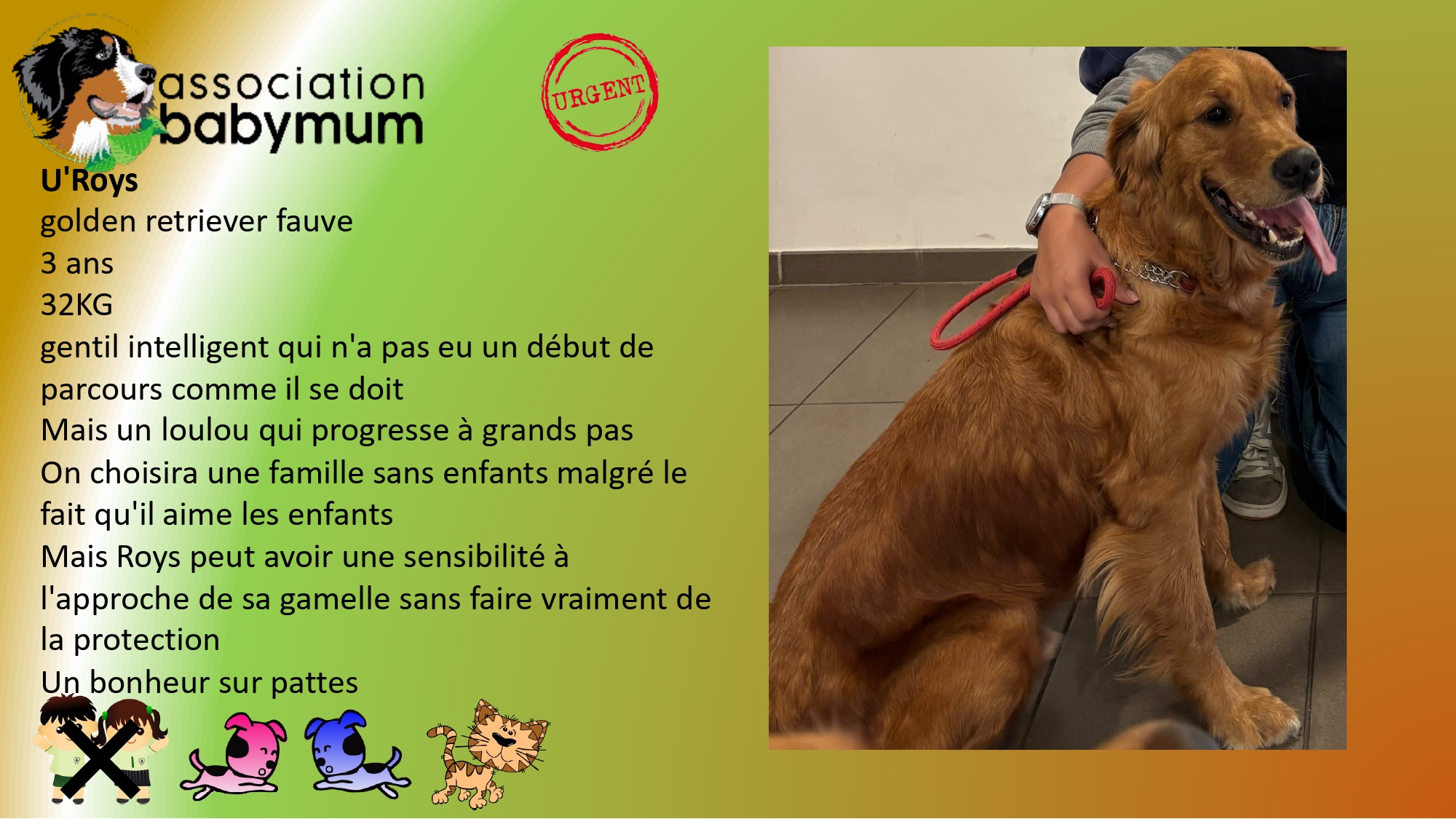A L'ADOPTION 