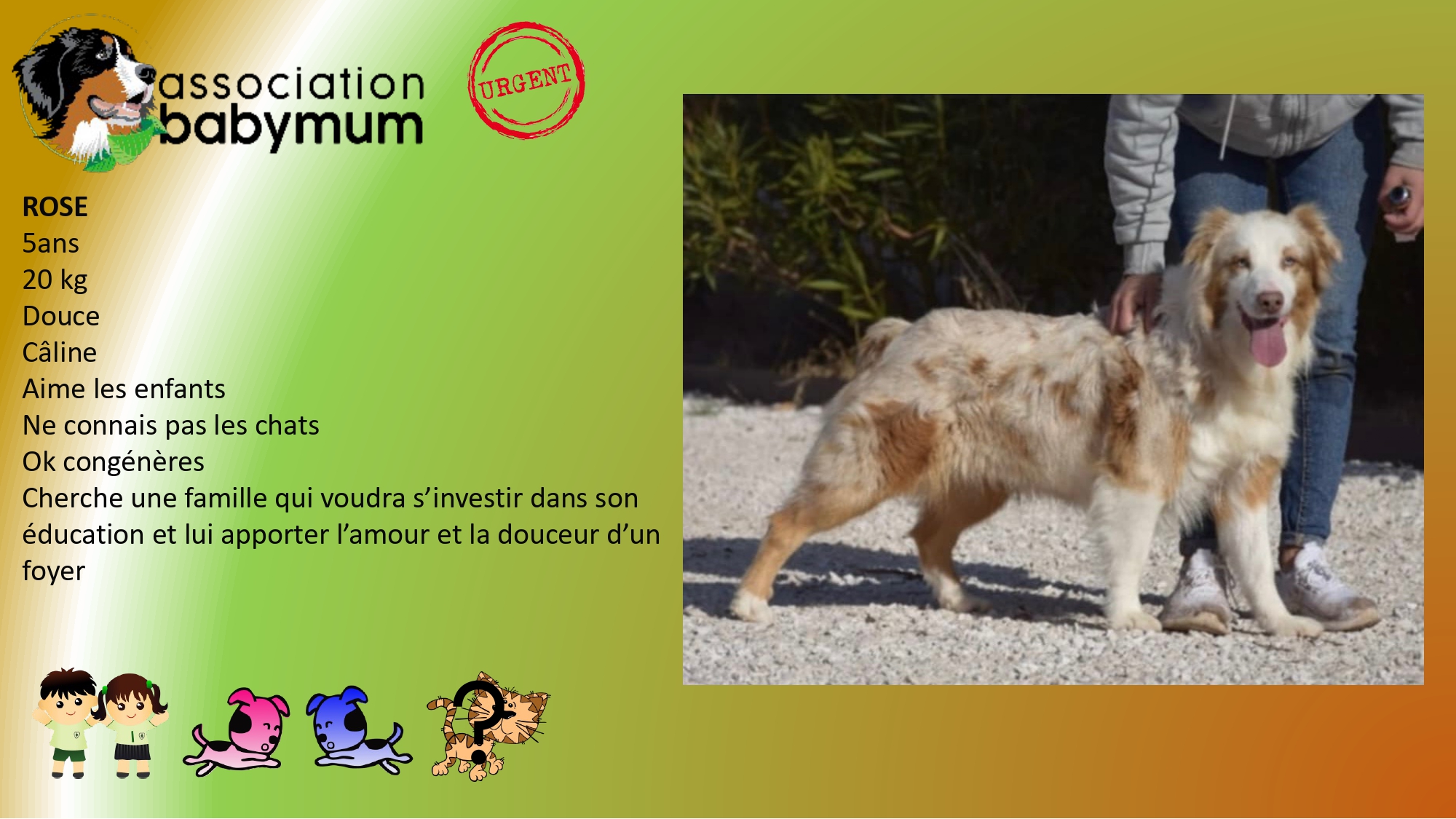 A L'ADOPTION