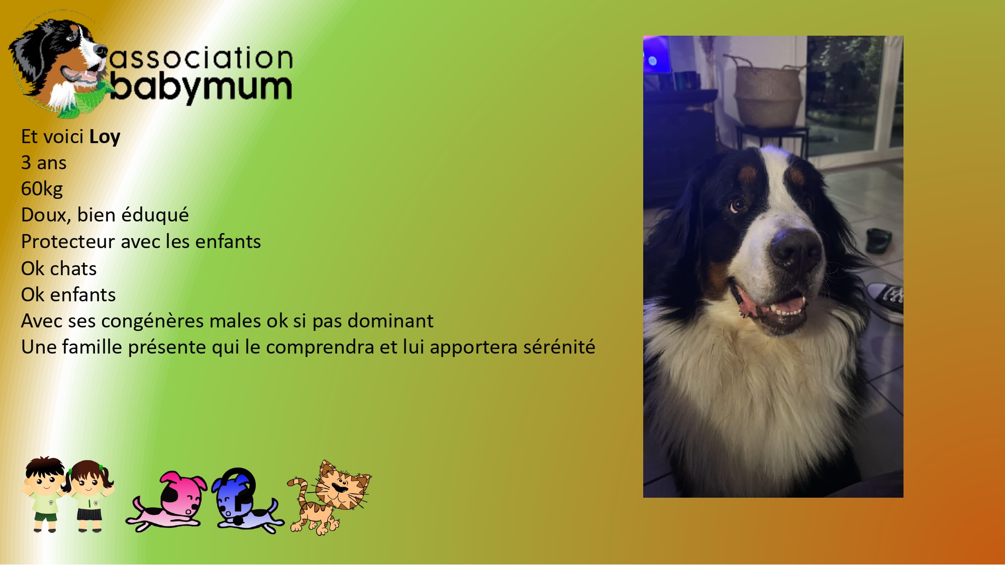 ADOPTE LE 12/04/2025