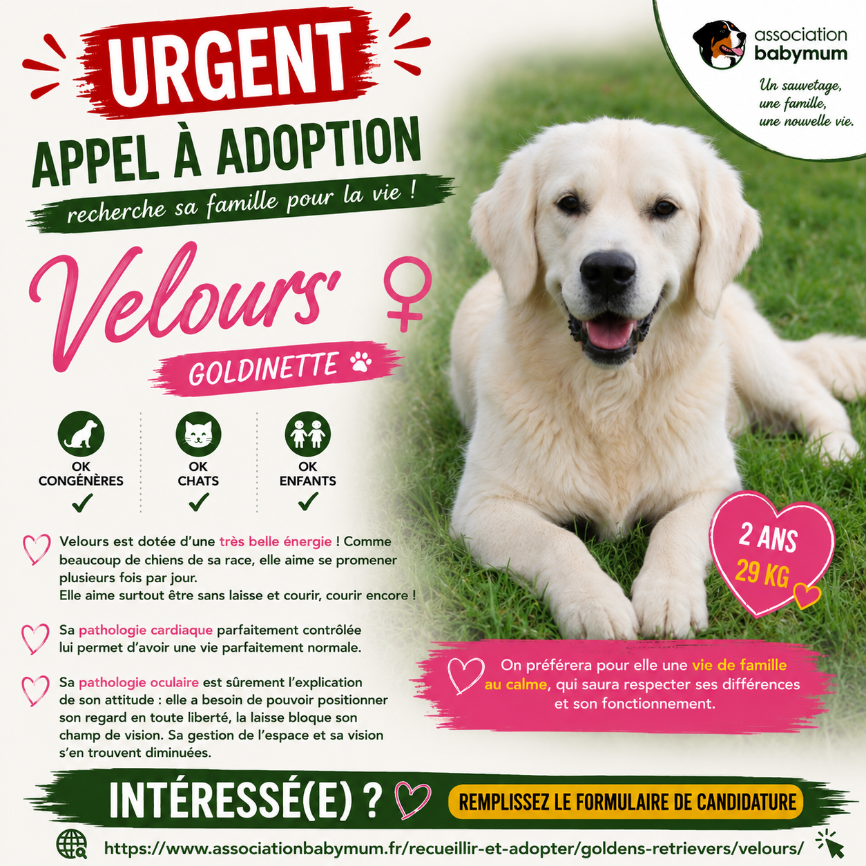 A L'ADOPTION