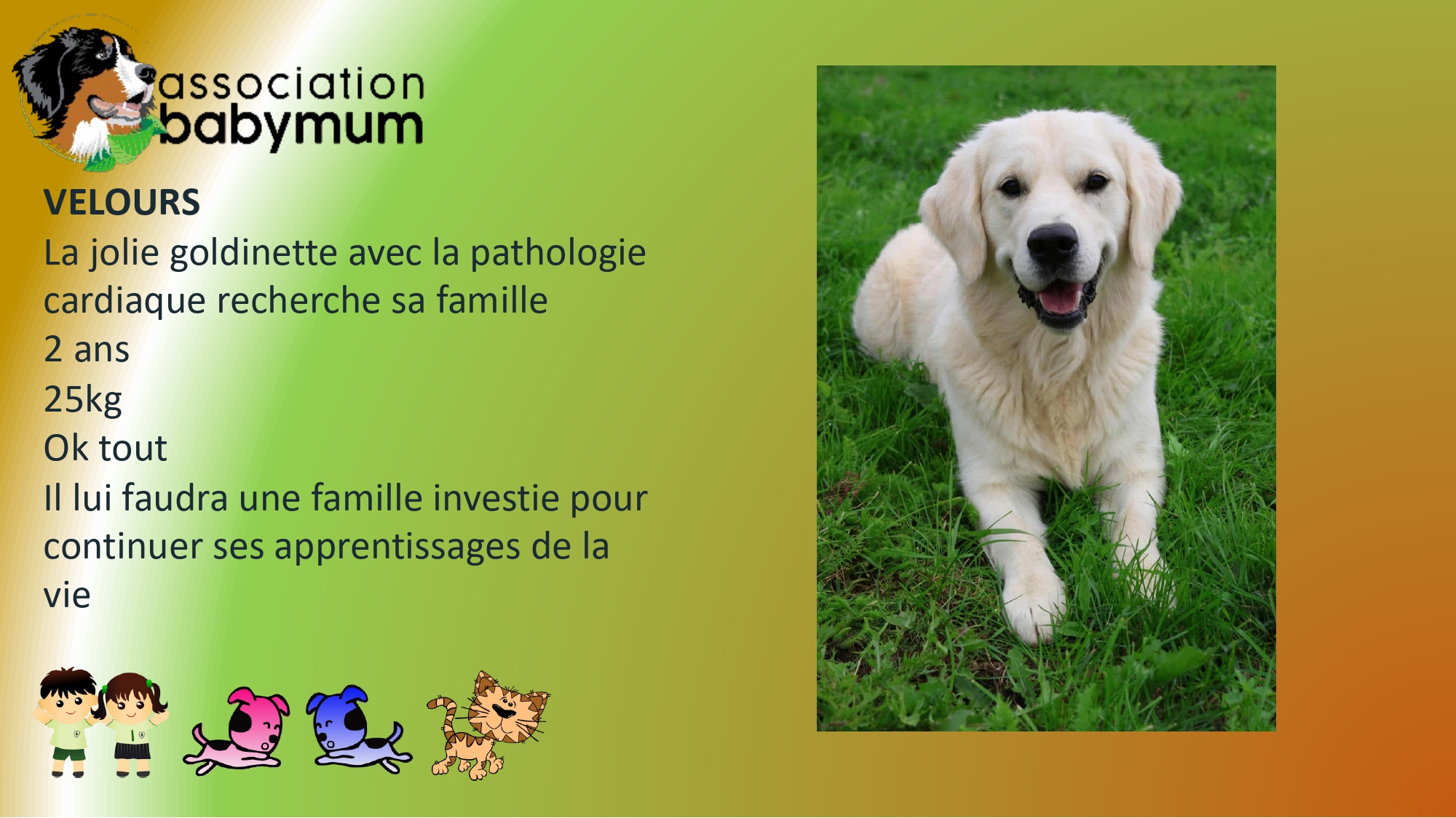 A L'ADOPTION 