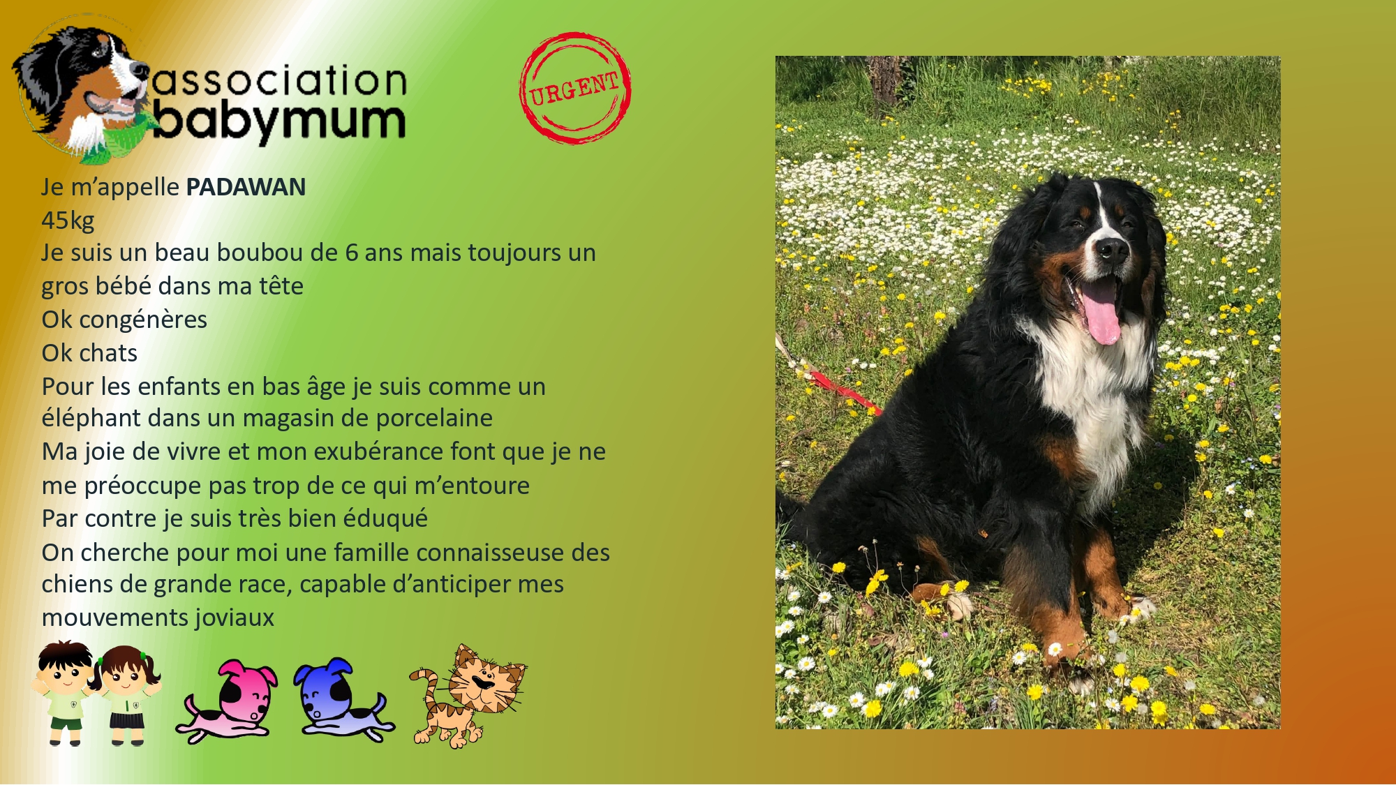 ADOPTE LE 04/06/2026