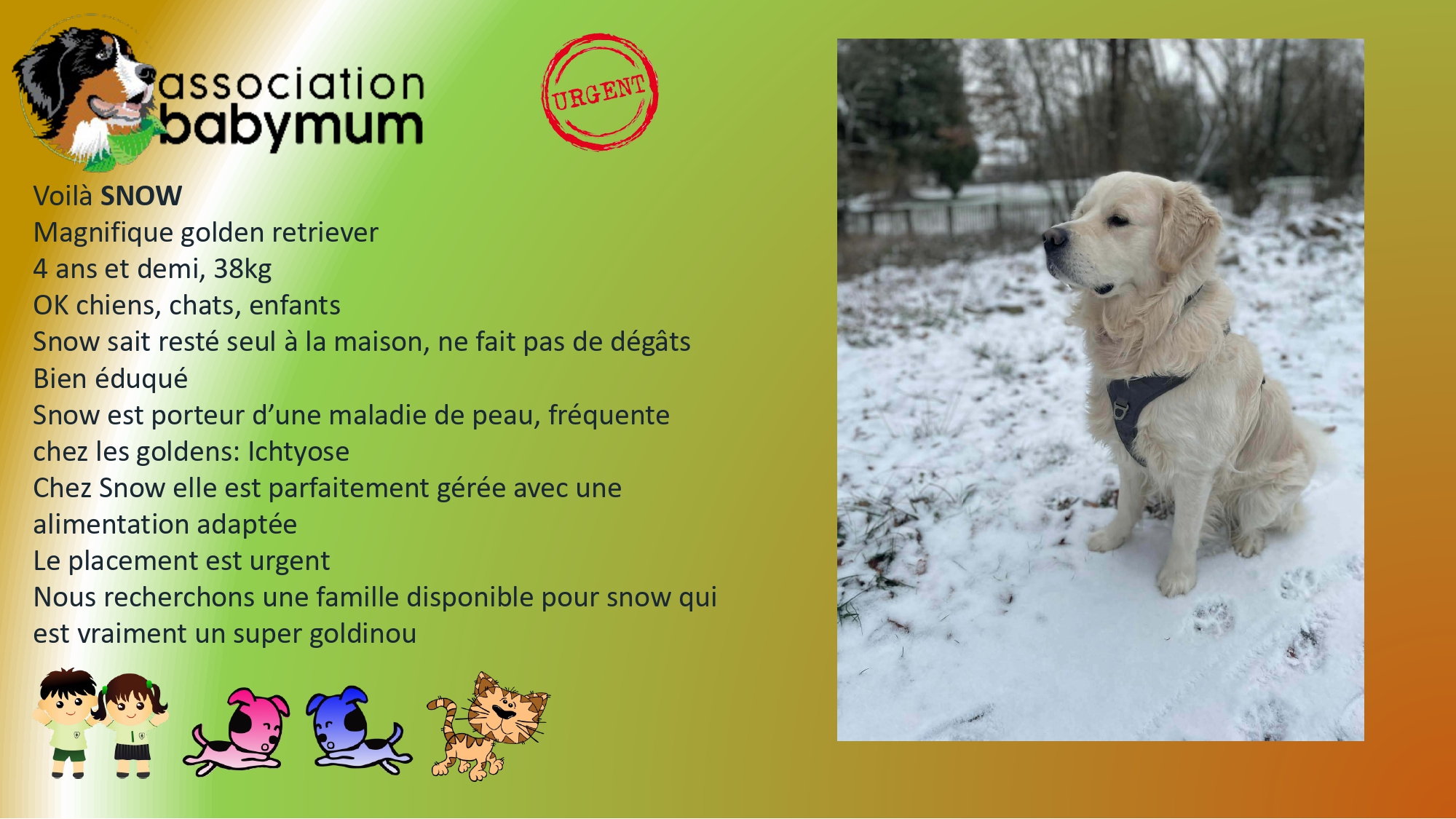 ADOPTE LE 27/01/2026