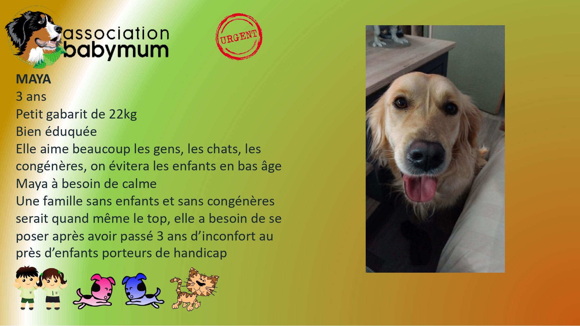 ADOPTEE LE 24/05/2026
