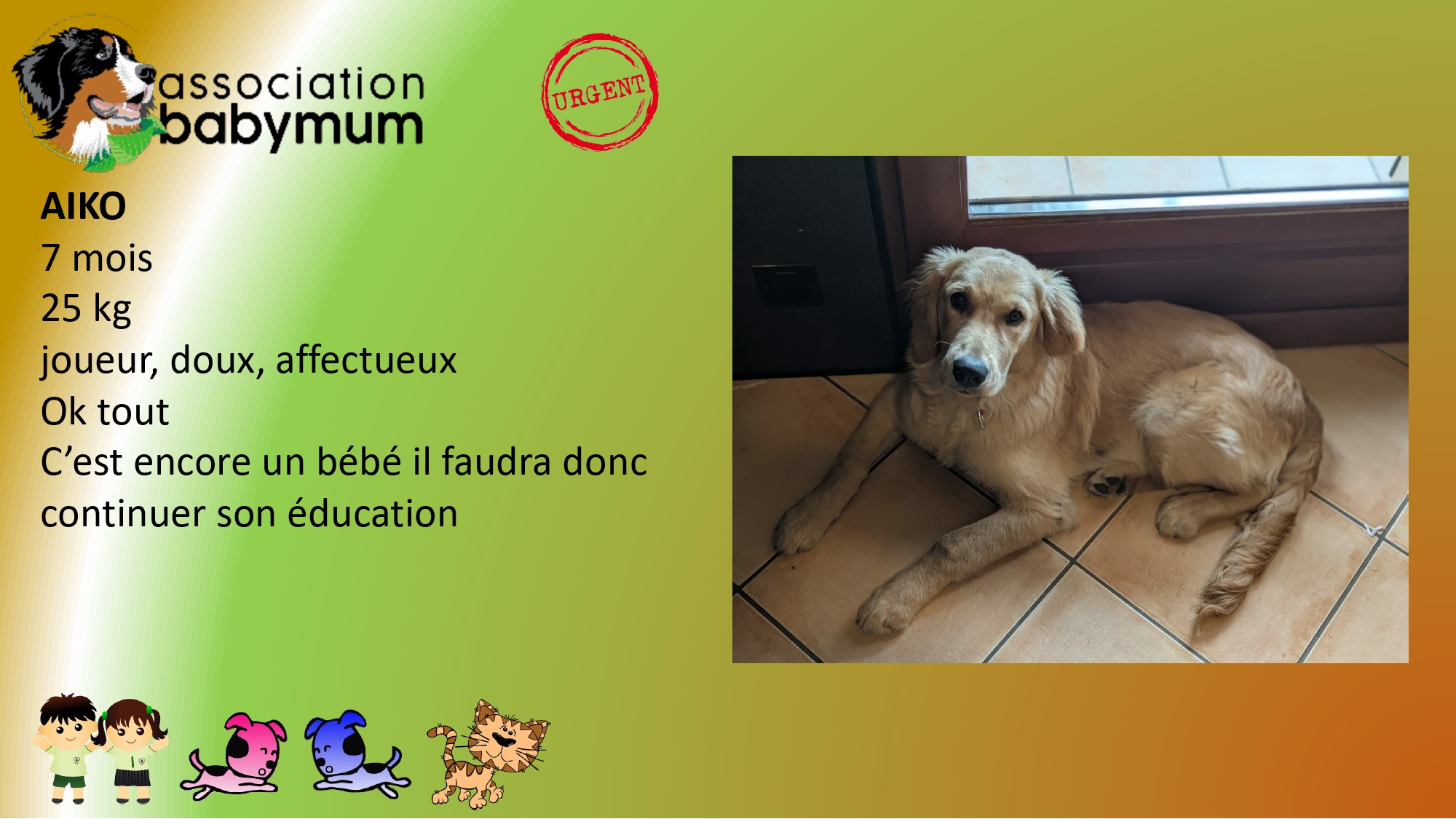 A L'ADOPTION