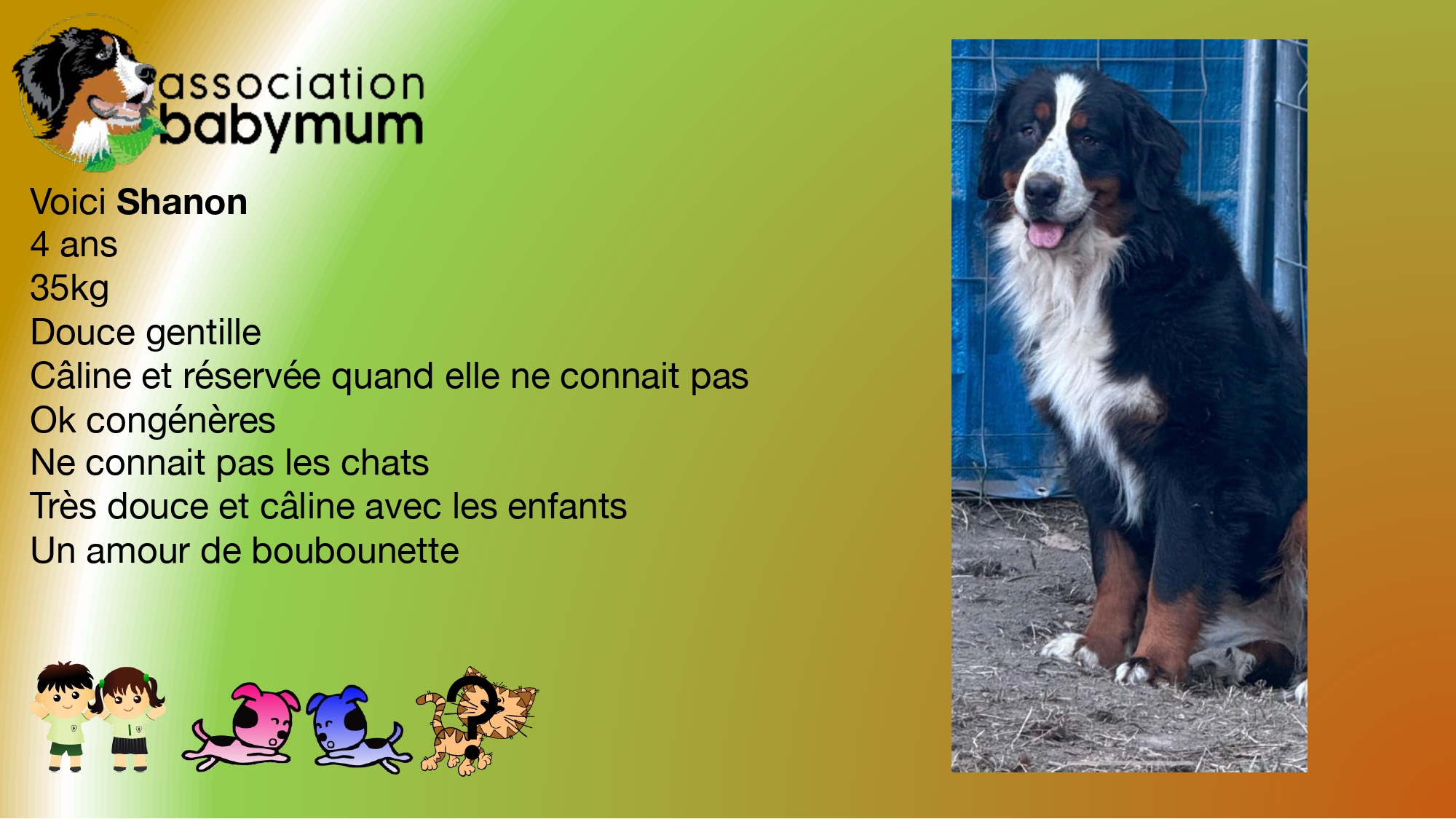 ADOPTEE LE 18/02/2025