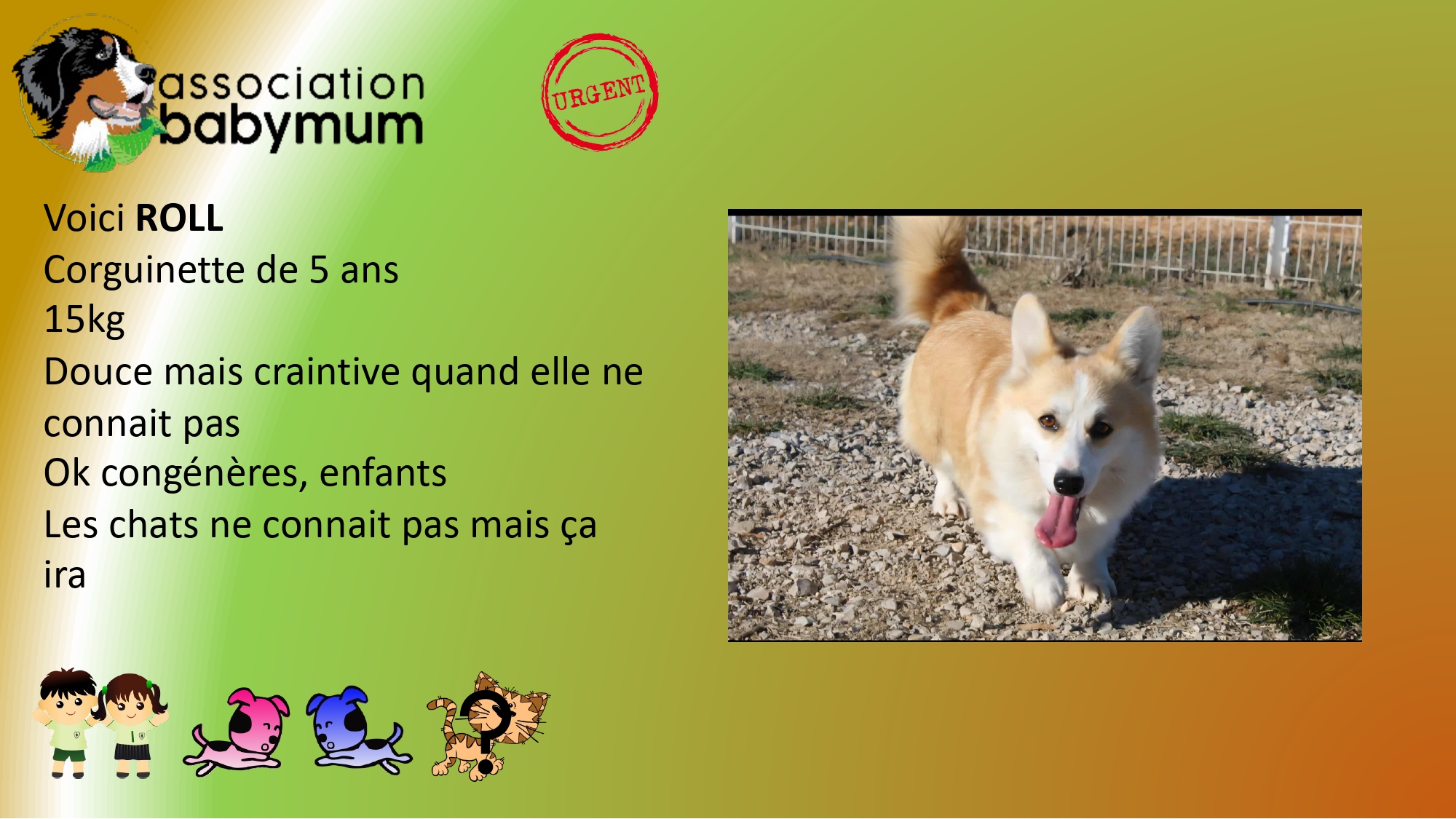 A L'ADOPTION