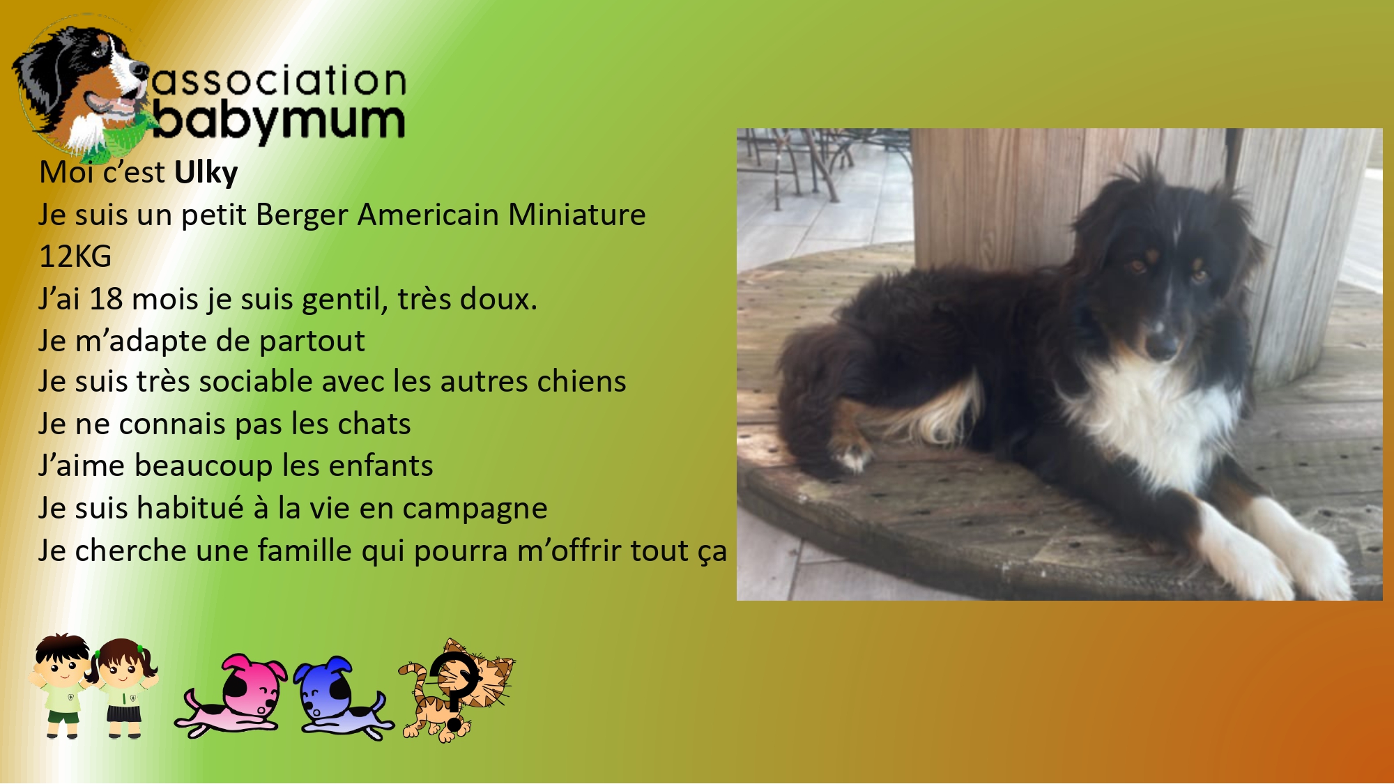 ADOPTE LE 28/03/2025