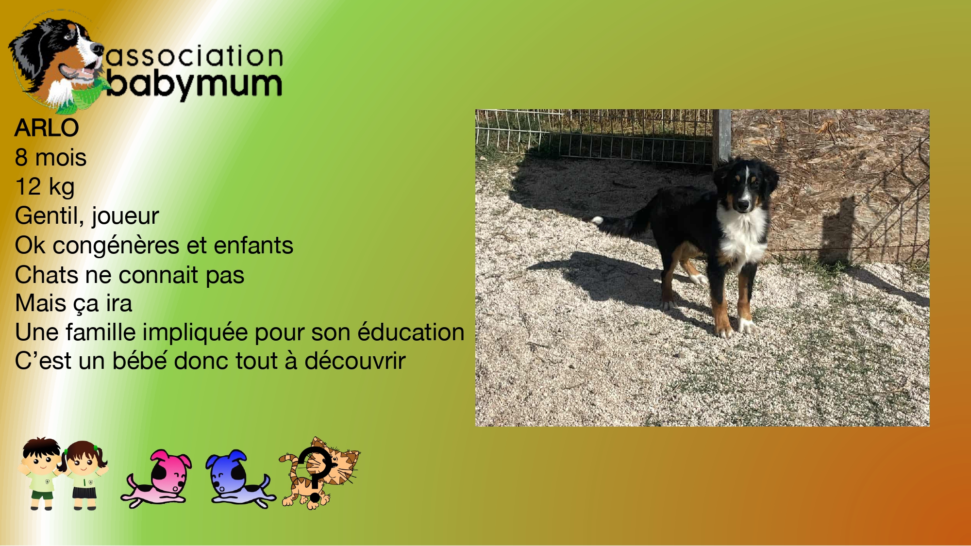 ADOPTE LE 27/10/2025