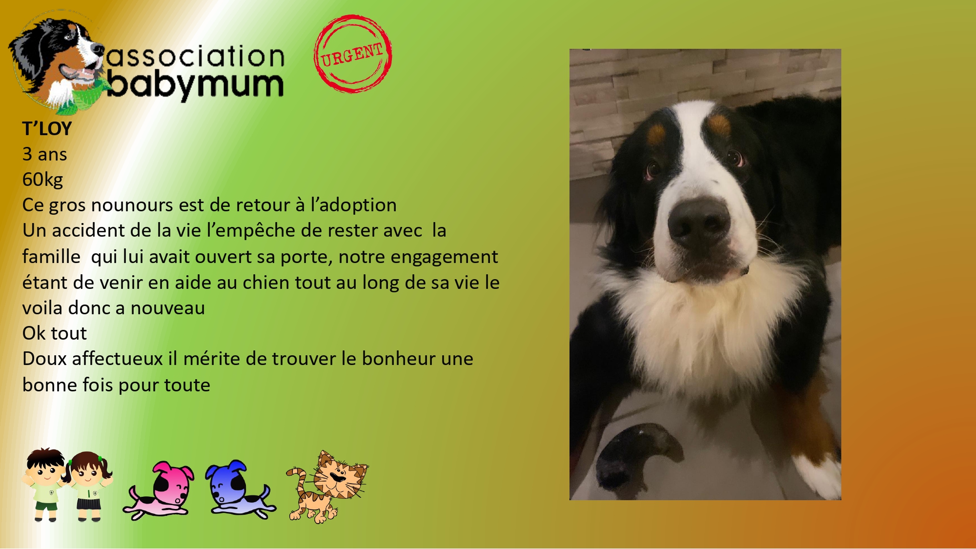ADOPTE LE 30/09/2025