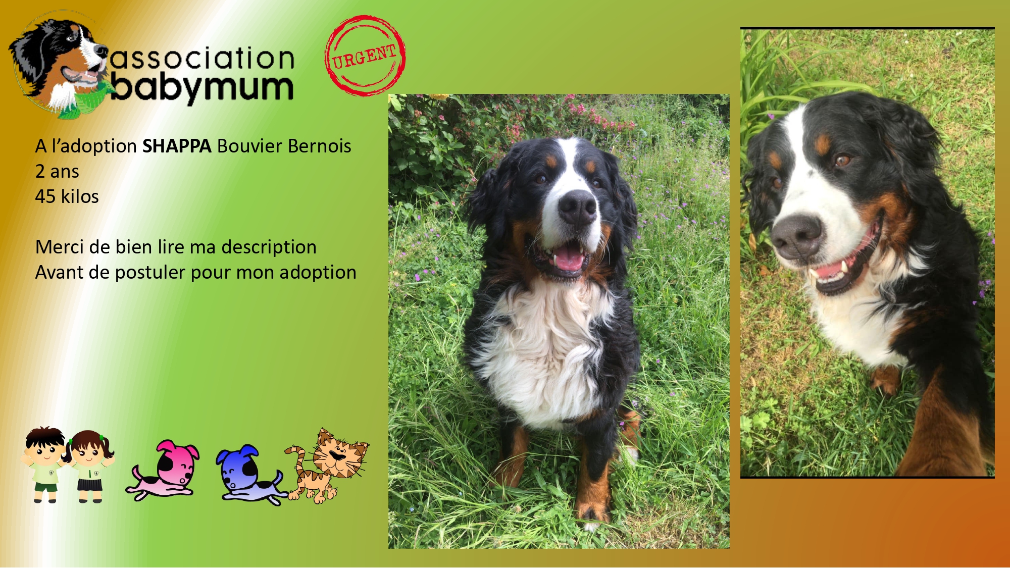 A L'ADOPTION