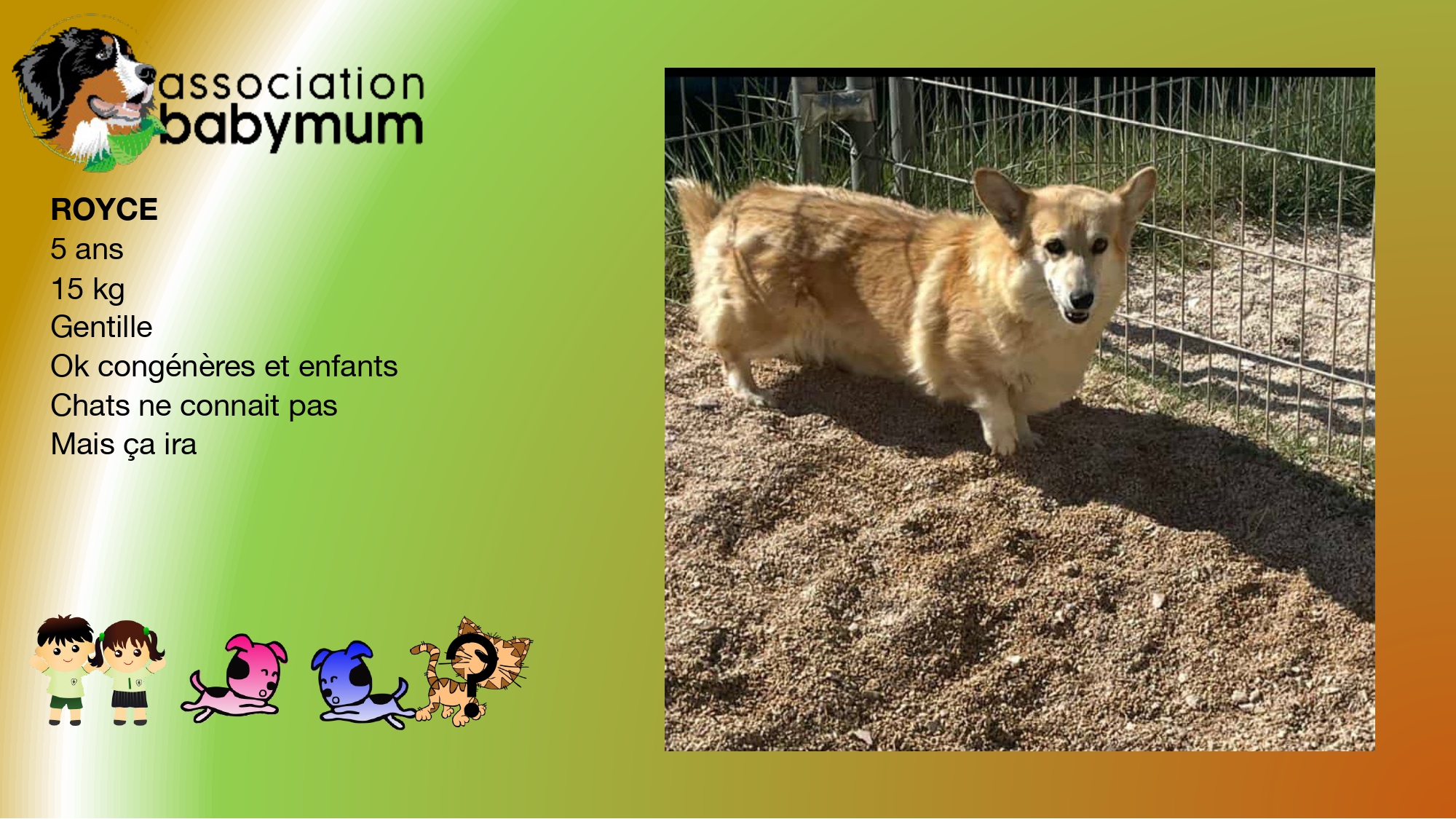 A L'ADOPTION