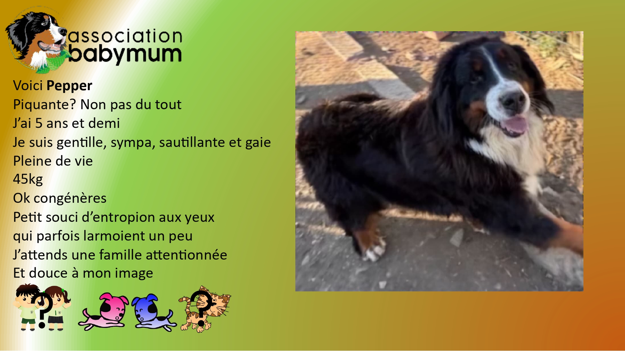ADOPTEE LE 12/04/2025