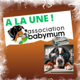 LES ACTIVITÉS MENSUELLES DE L'ASSOCIATION