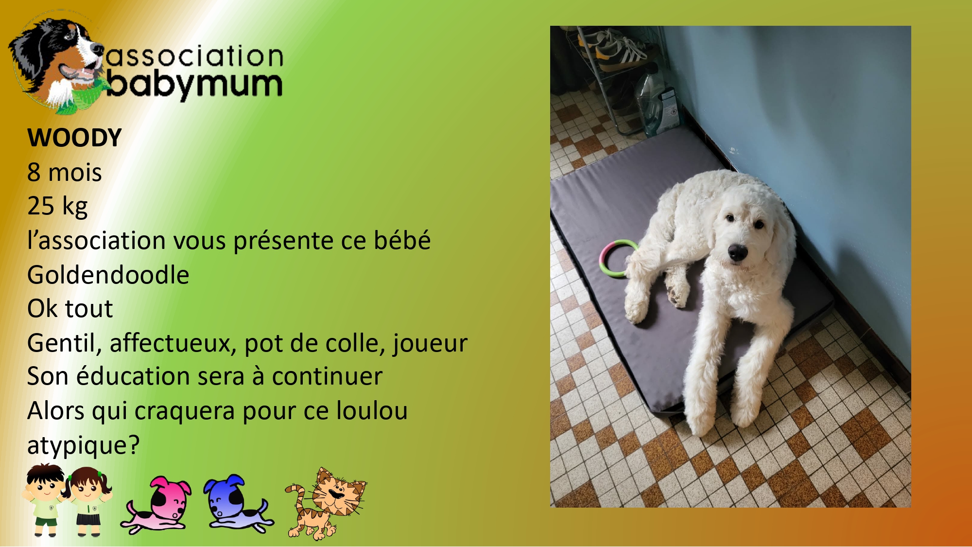 A L'ADOPTION