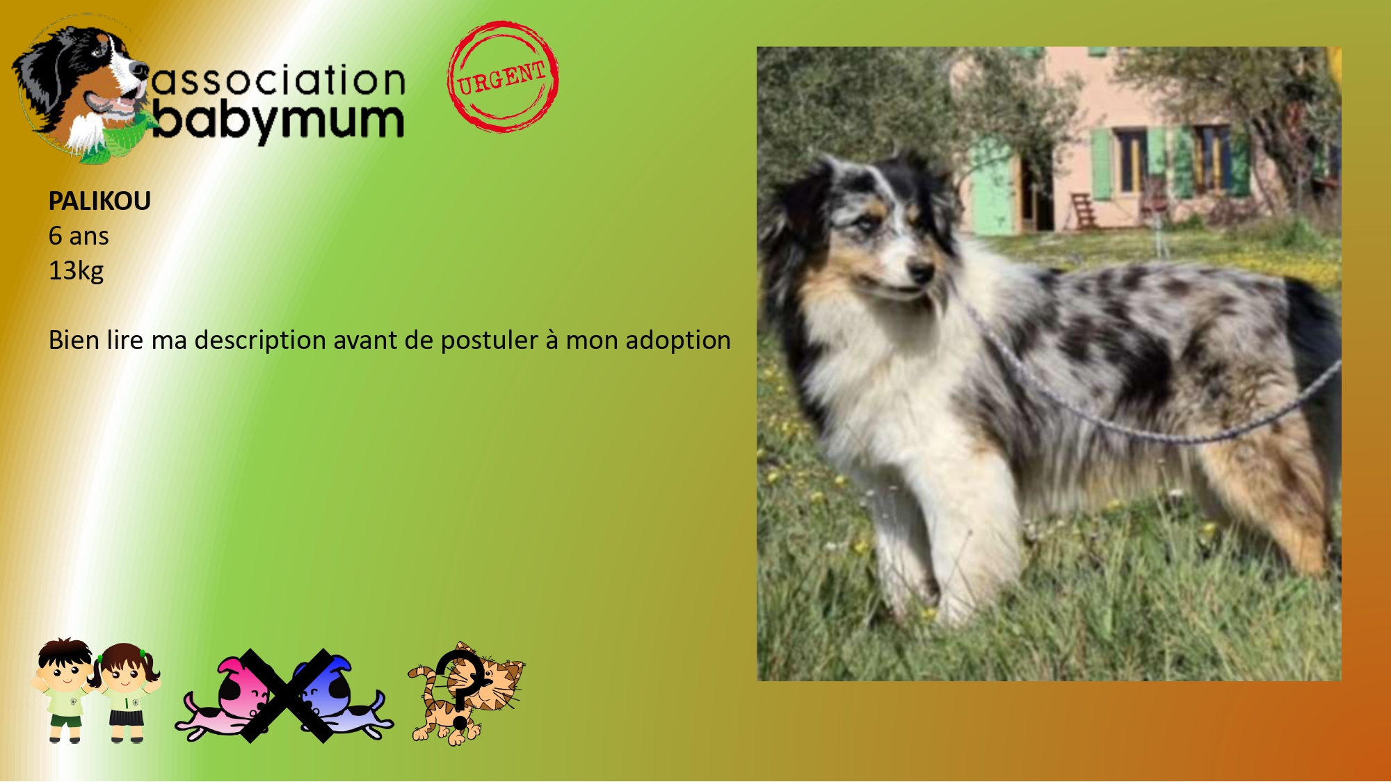 A L'ADOPTION 