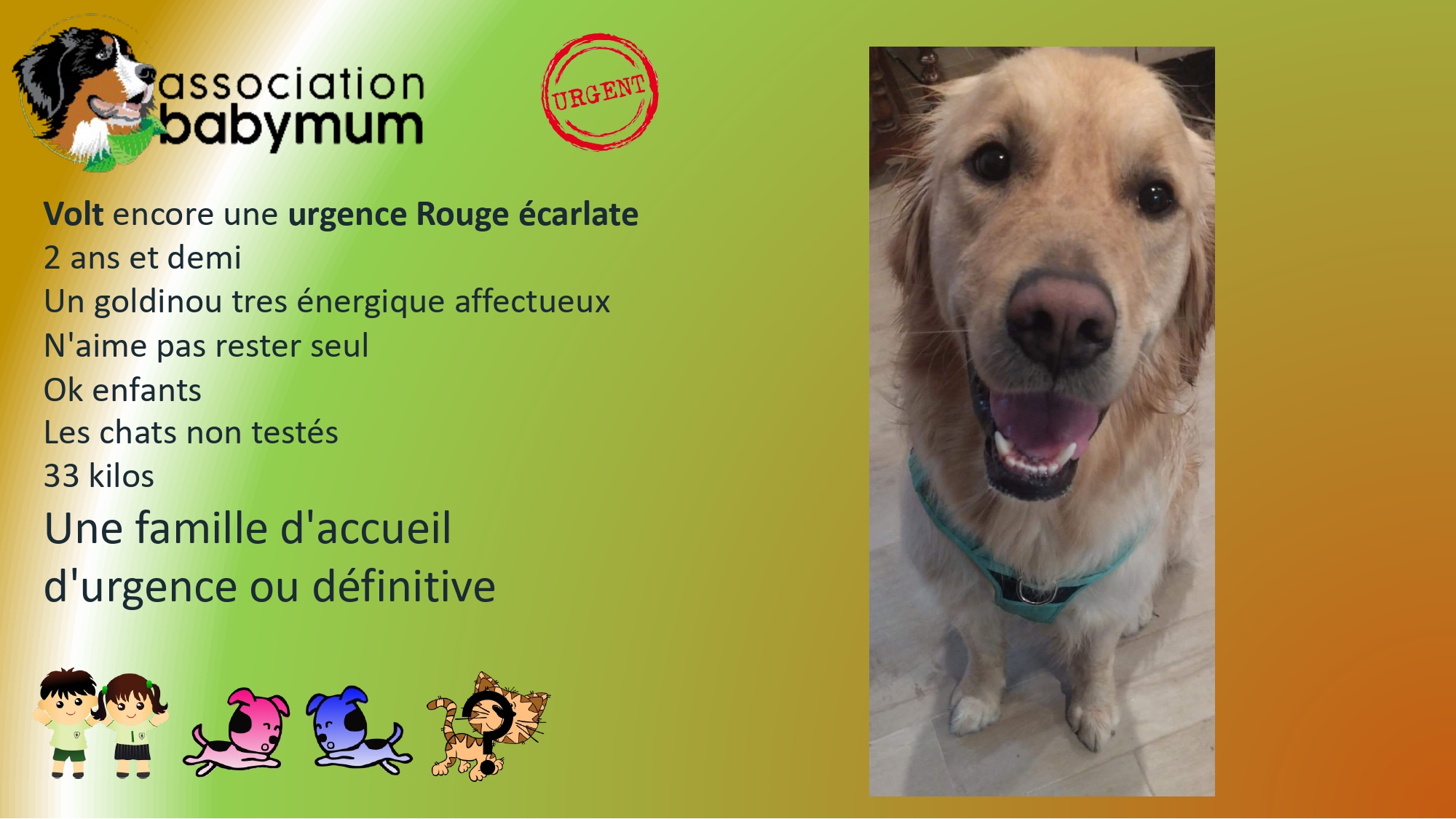 ADOPTE LE 07/03/2026