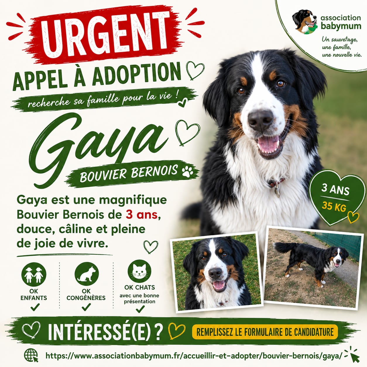 A L'ADOPTION