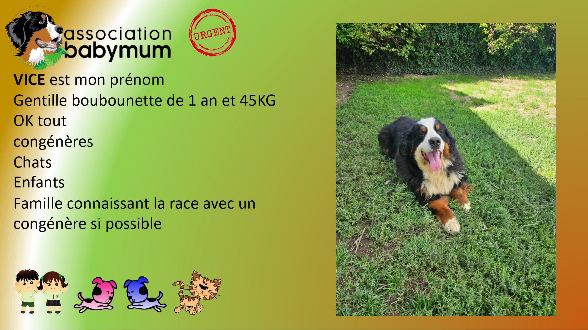 ADOPTEE LE 21/09/2025