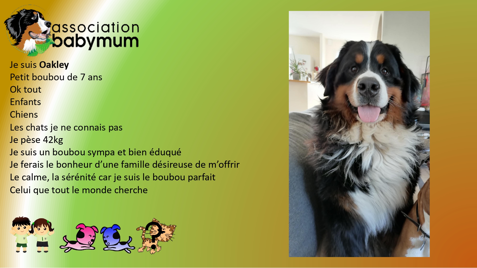 ADOPTE LE 12/04/2025