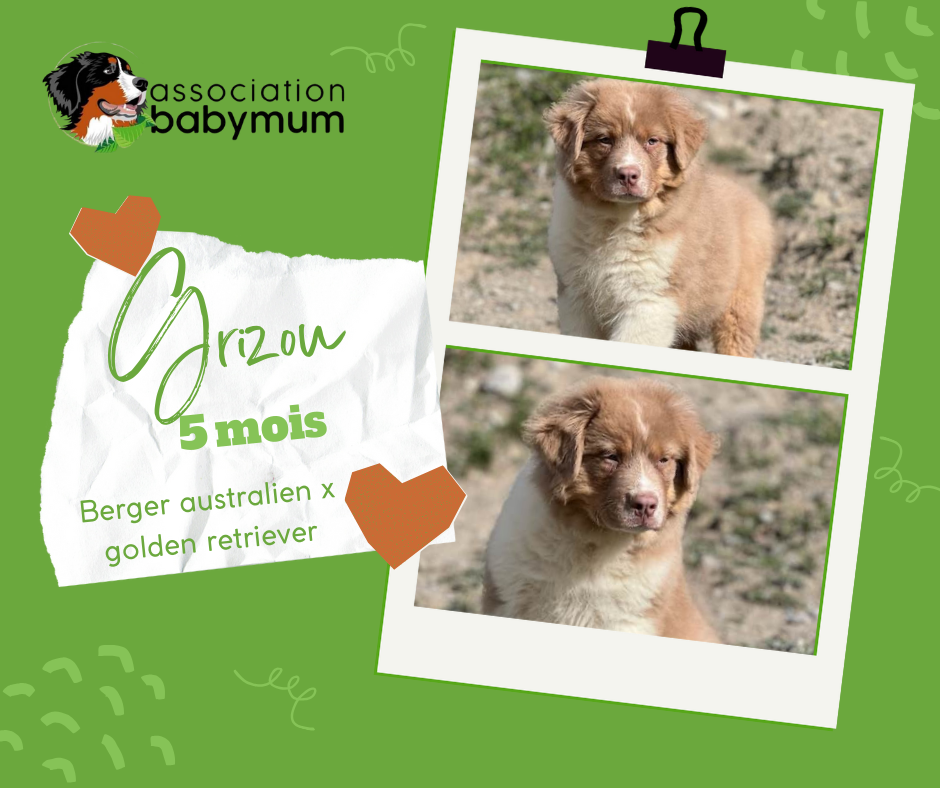 ADOPTE LE 14/09/2024